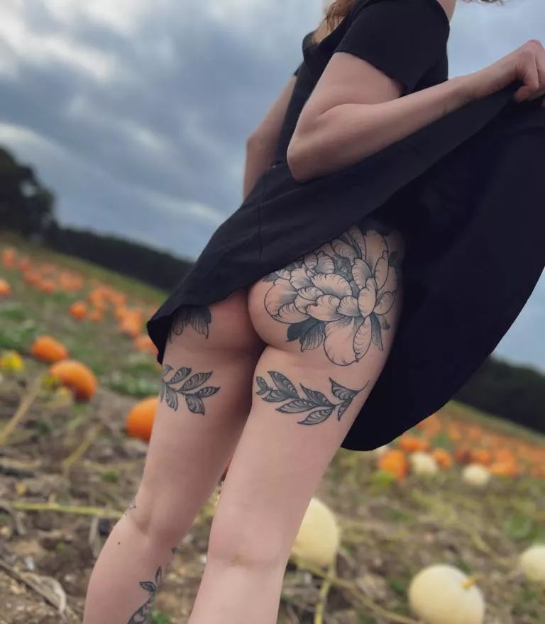 Flashing at the pumpkin patch