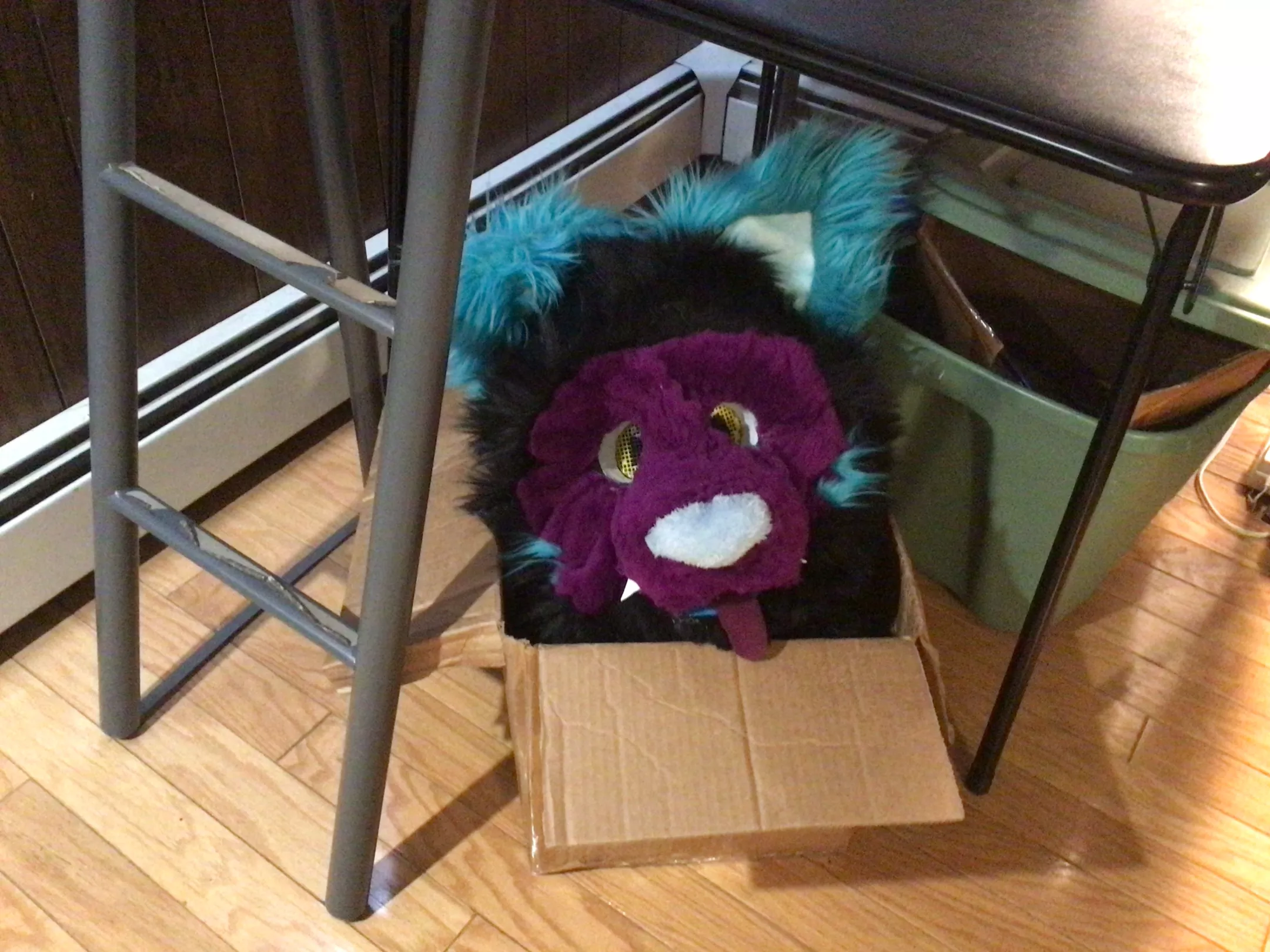 Fox in a box :3-