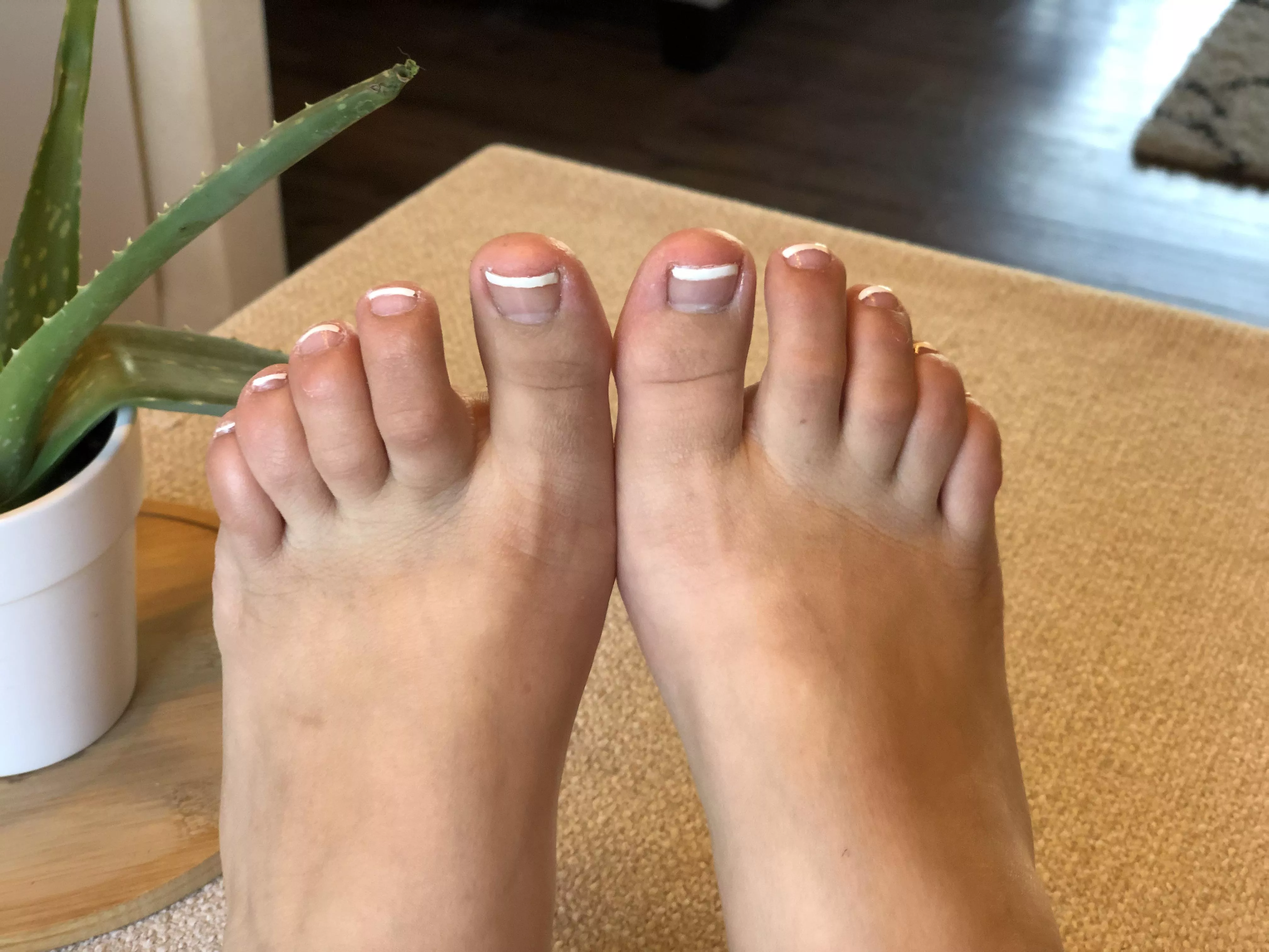 Fresh pedi for the piggies! 💗