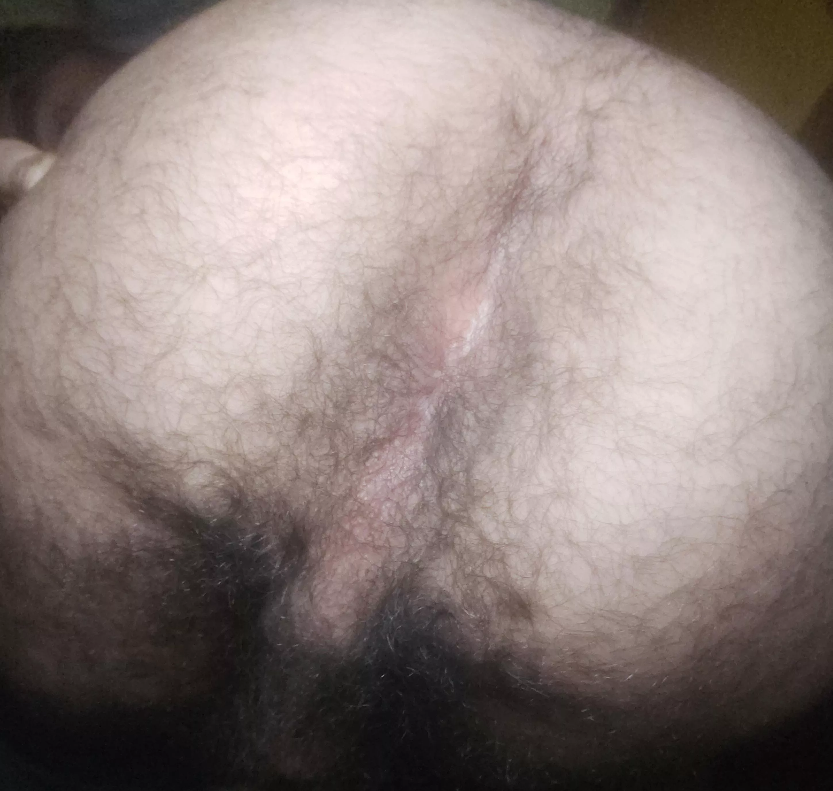 Fuck my asshole