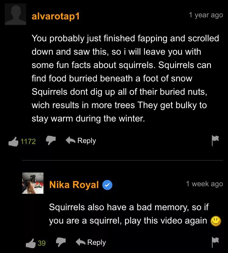 fun squirrel facts