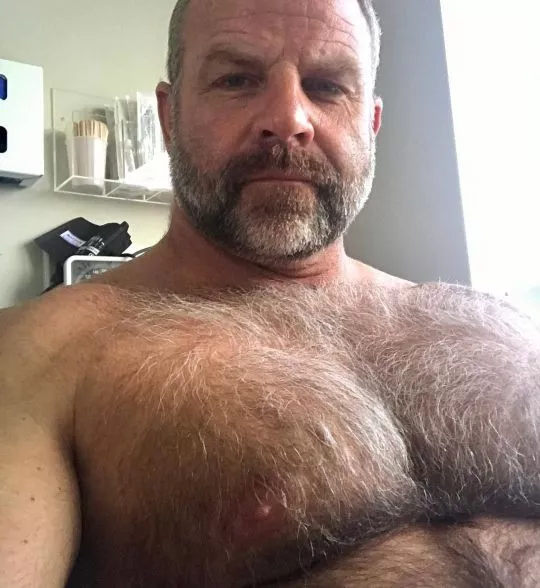 furry chest