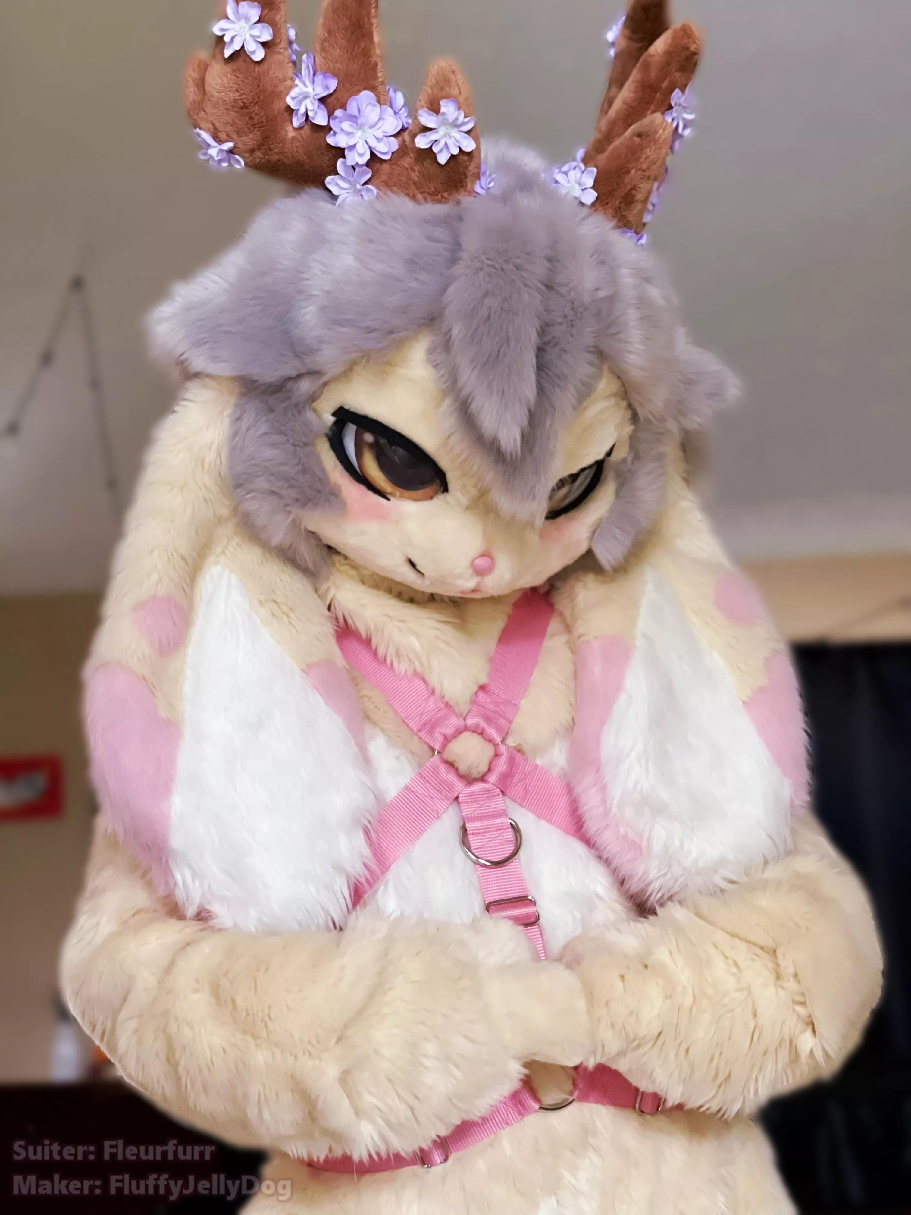 Fursuit Friday! Do I look cute in pink?