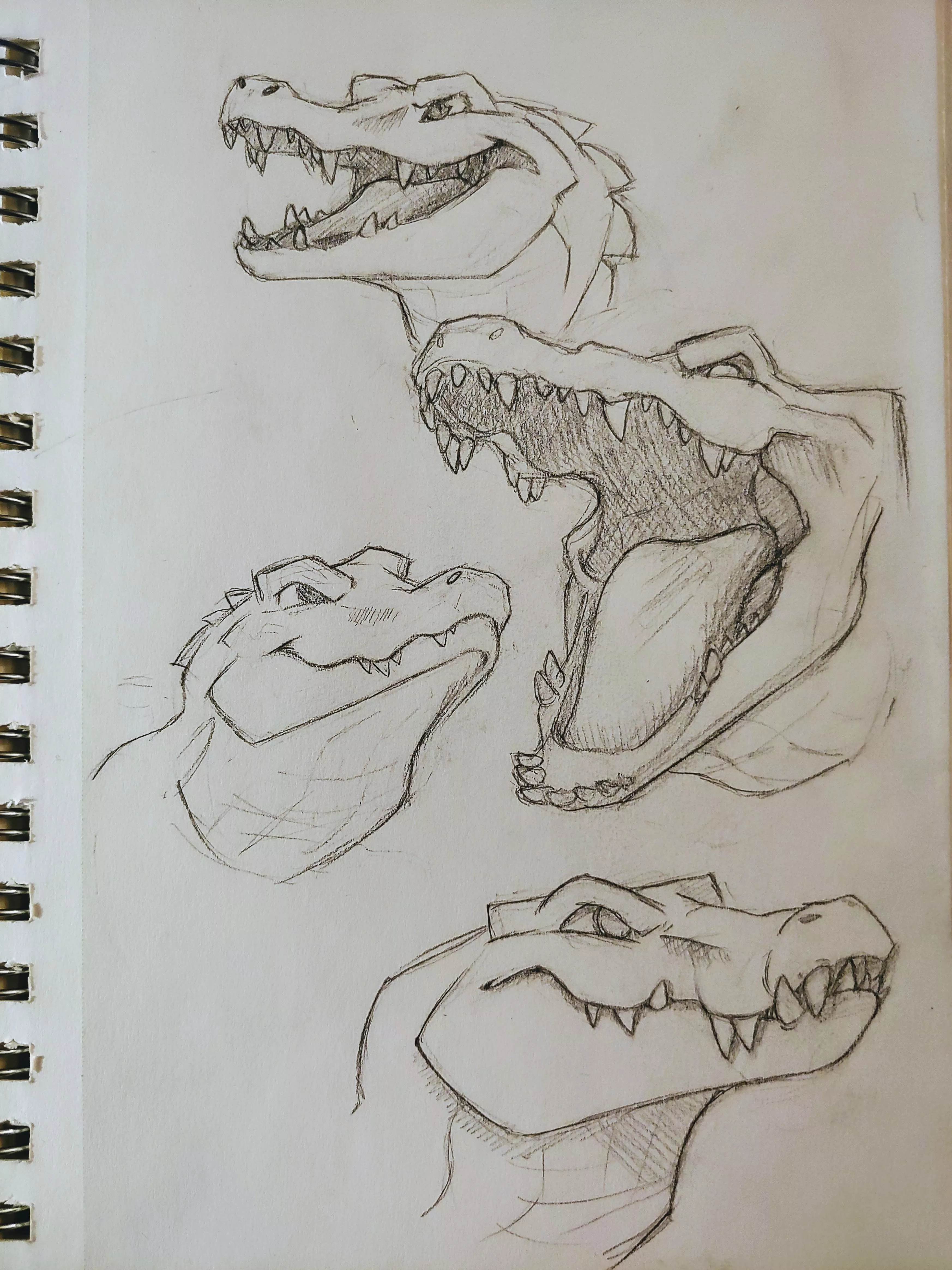 Gator sketches [commissions open] [for hire]