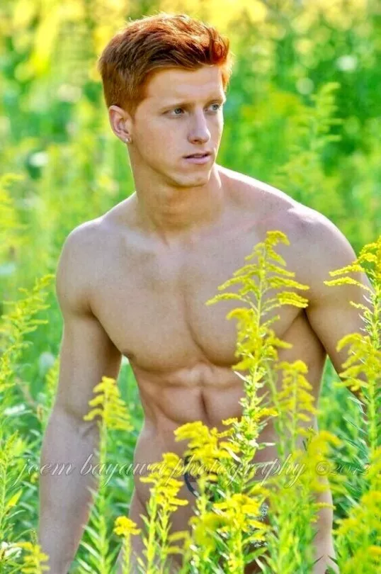 Ginger amongst the plants