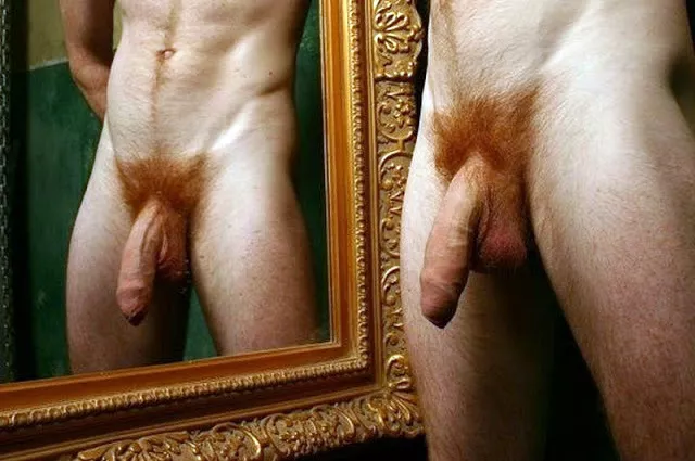 Ginger Cock in the Mirror