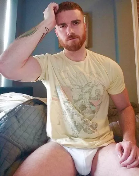 Ginger getting out of bed (X-Post /r/morningbro)