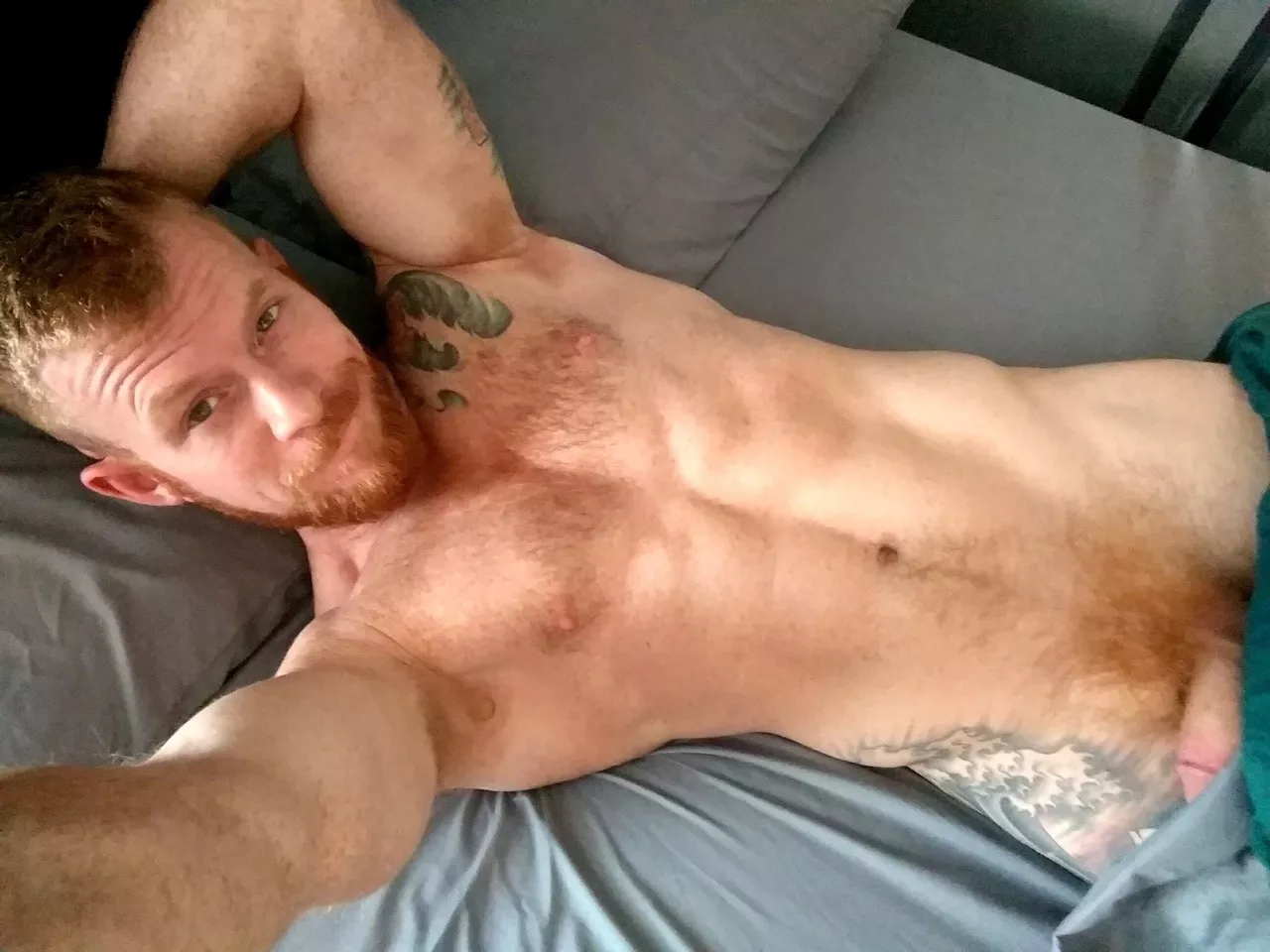 Ginger in bed