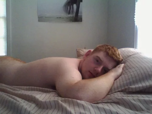 Ginger laying in bed (X-Post /r/meninbed)