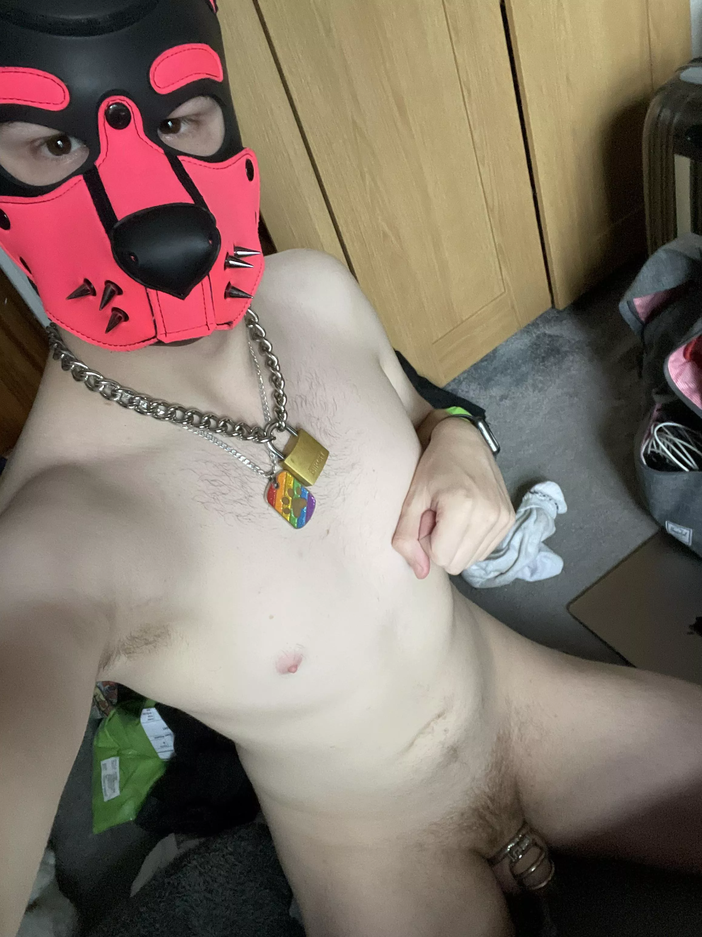 Good boy is a locked boy