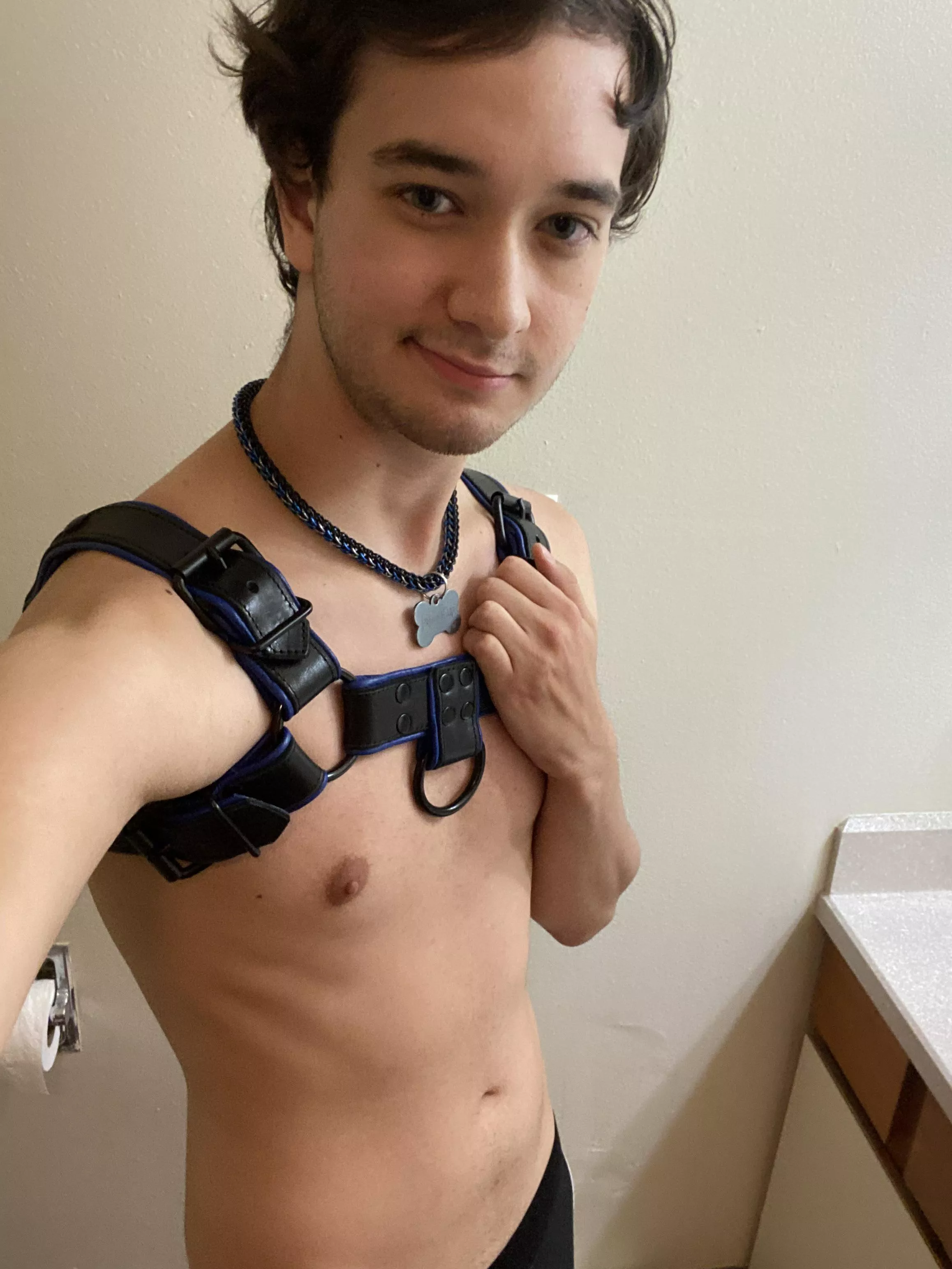 Got my new harness today!