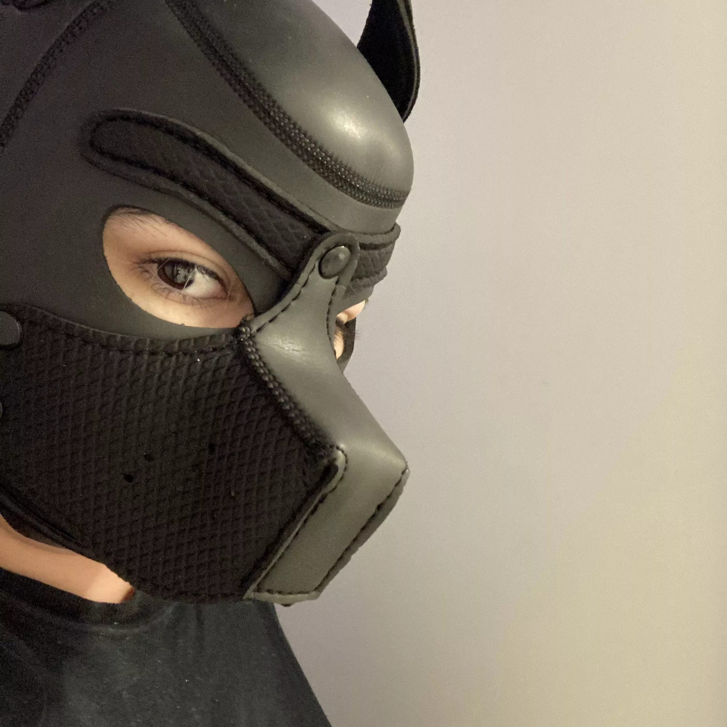 got my very first hood!!! v excited :33