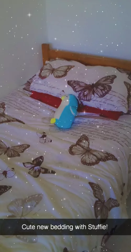 Got new bedding, butterflies! 💖🦋