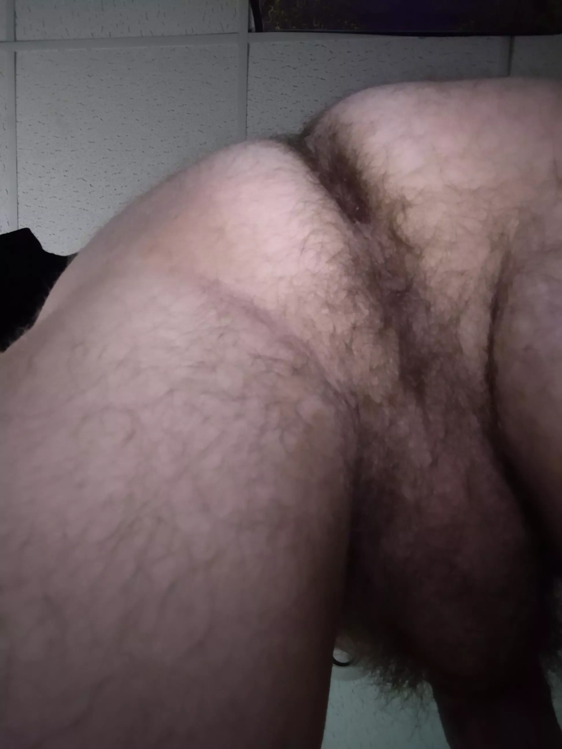 hairy and horny