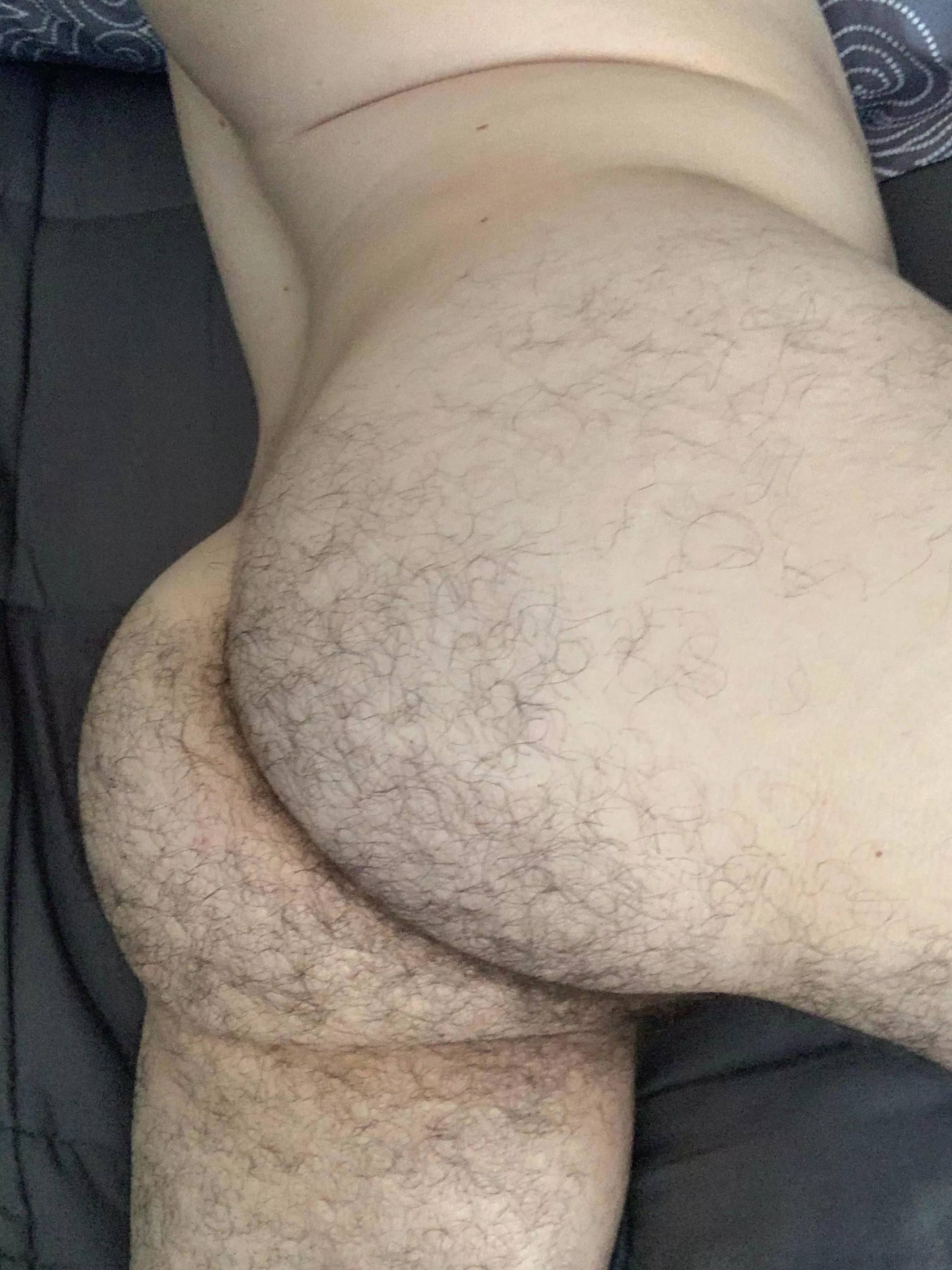 Hairy ass from a short cub