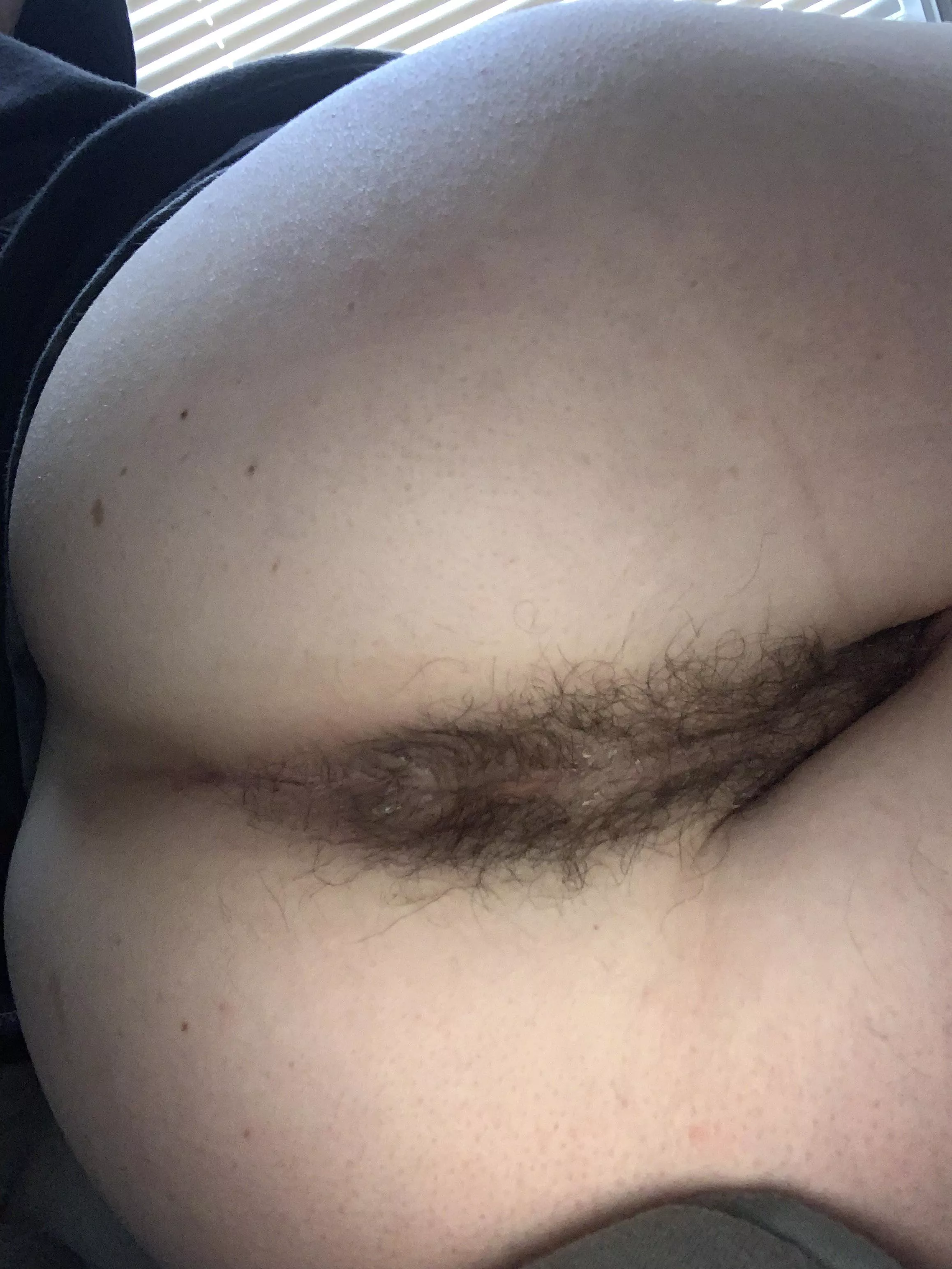 Hairy Asshole 🤤