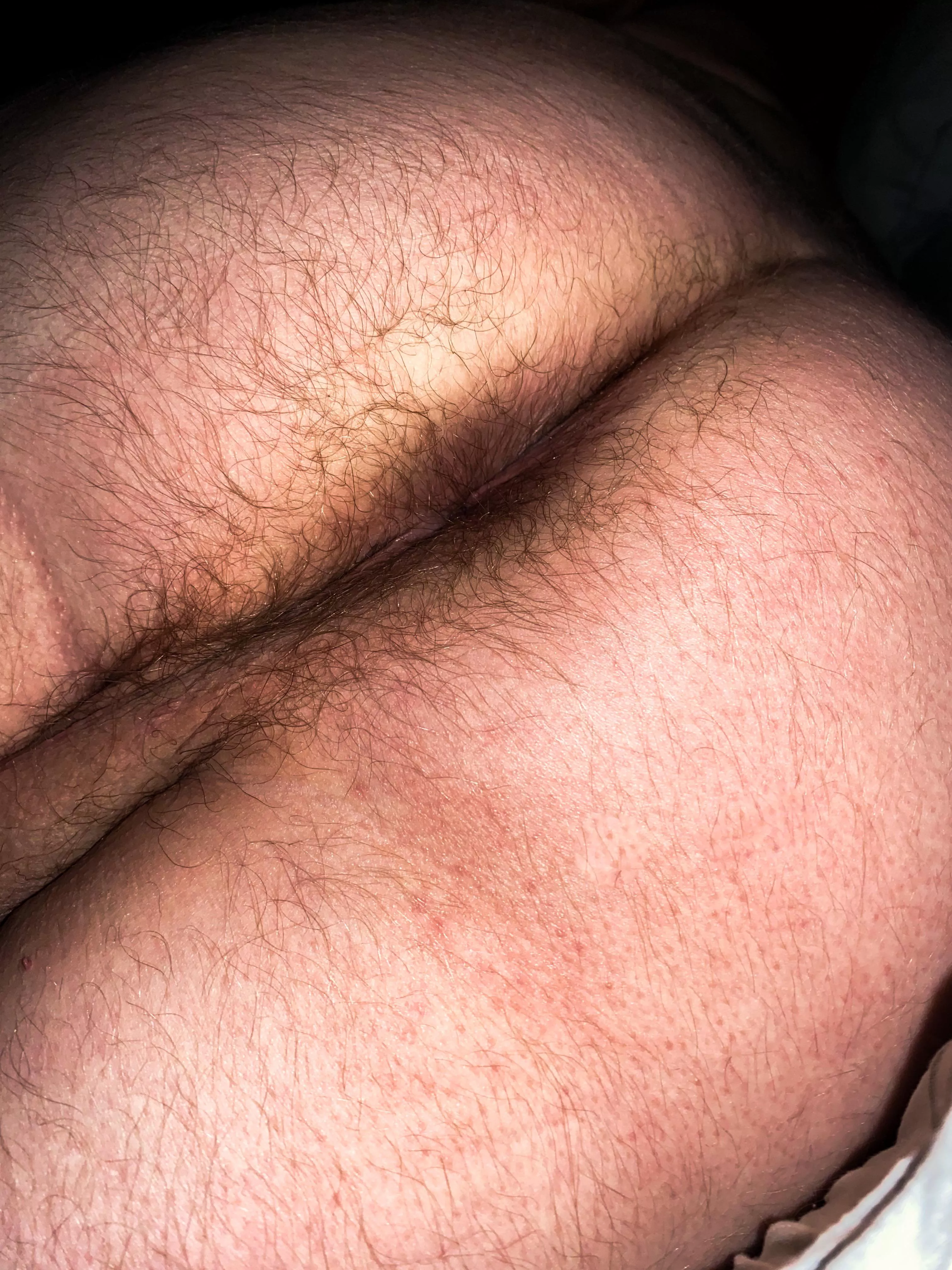 Hairy crack and sack. Should I wish for more or do I have enough?