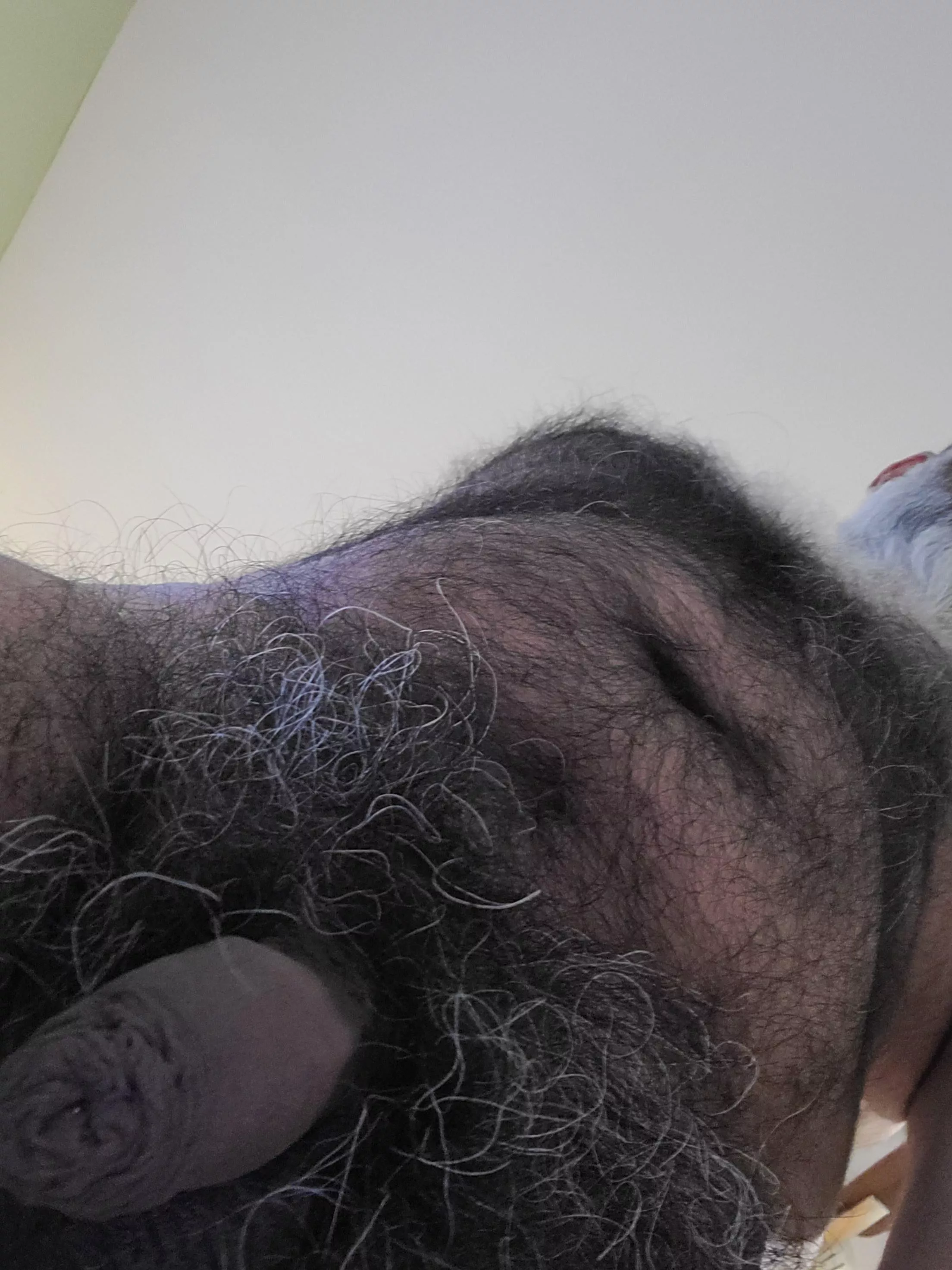 Hairy enough?