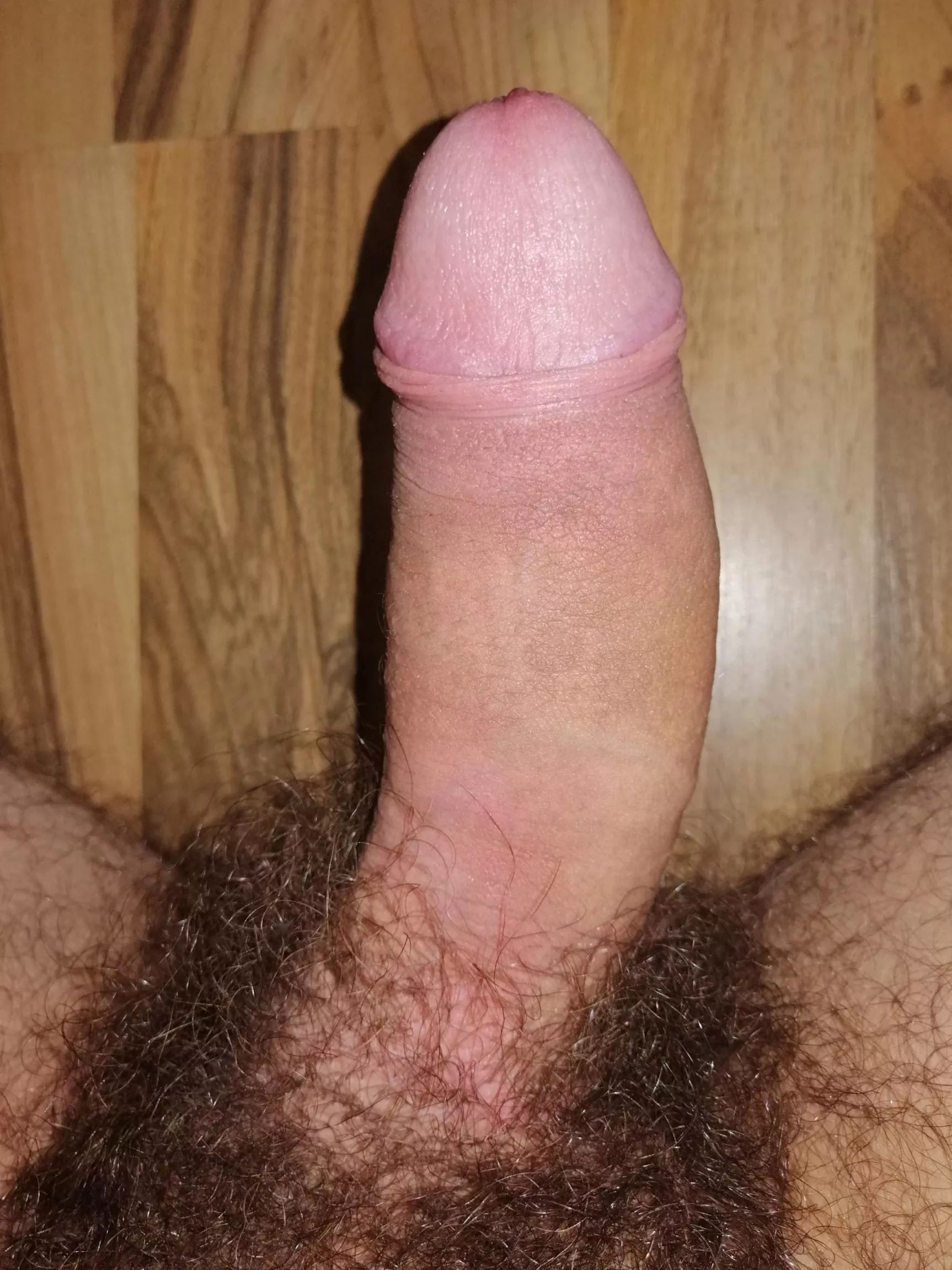 Hairy latino cock