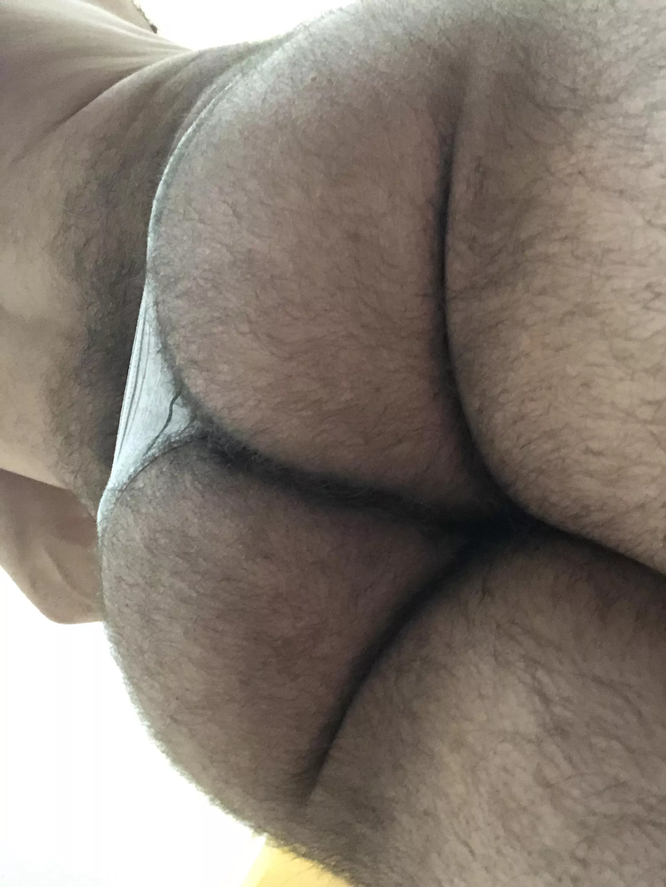 Hairy + Man + Ass ðŸ’â€â™‚ï¸