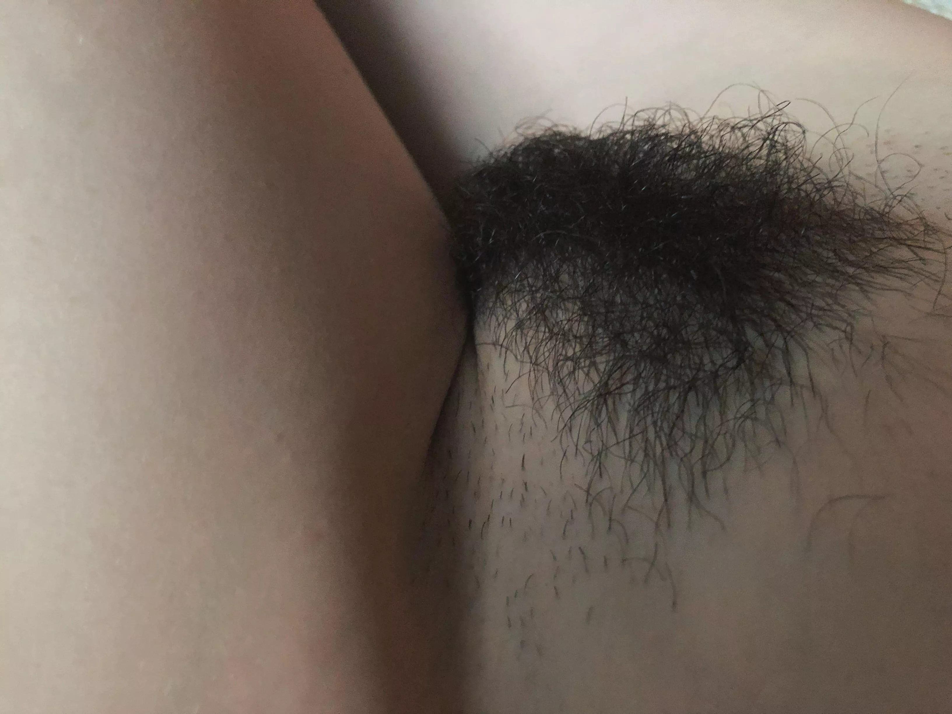 hairy pussy 🖤