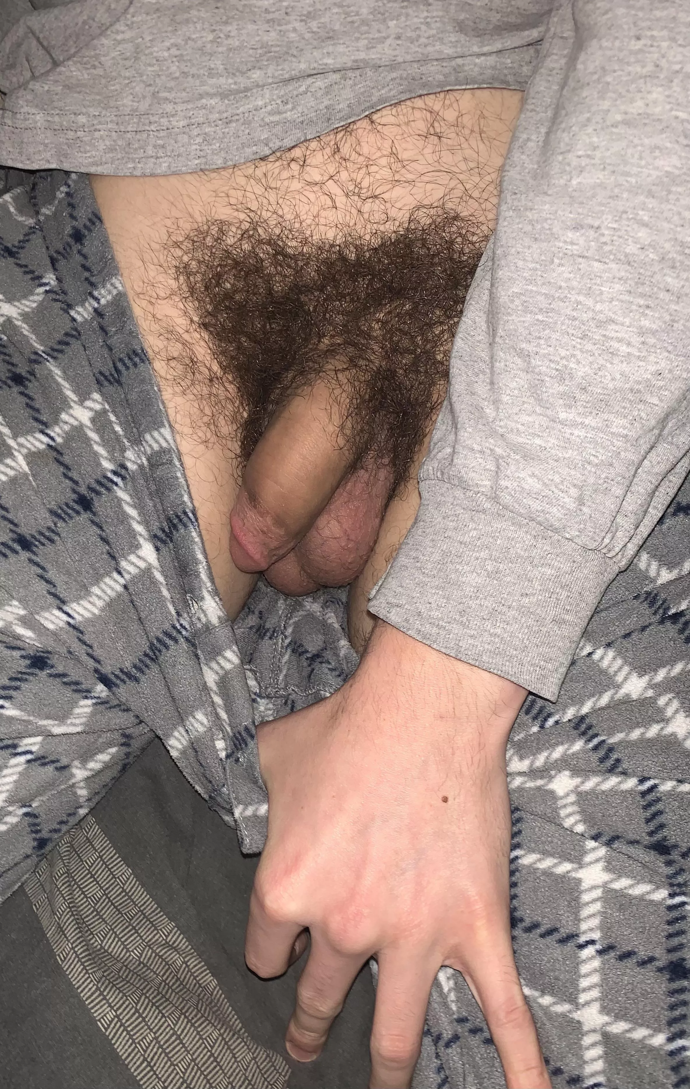 Hairy soft cock