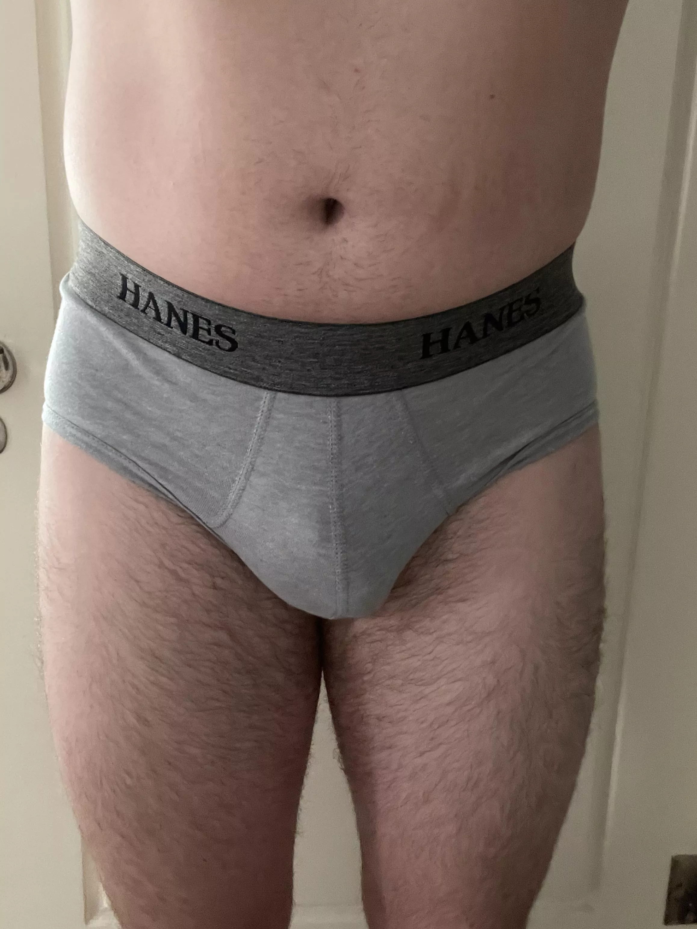 hanes premium stretch briefs