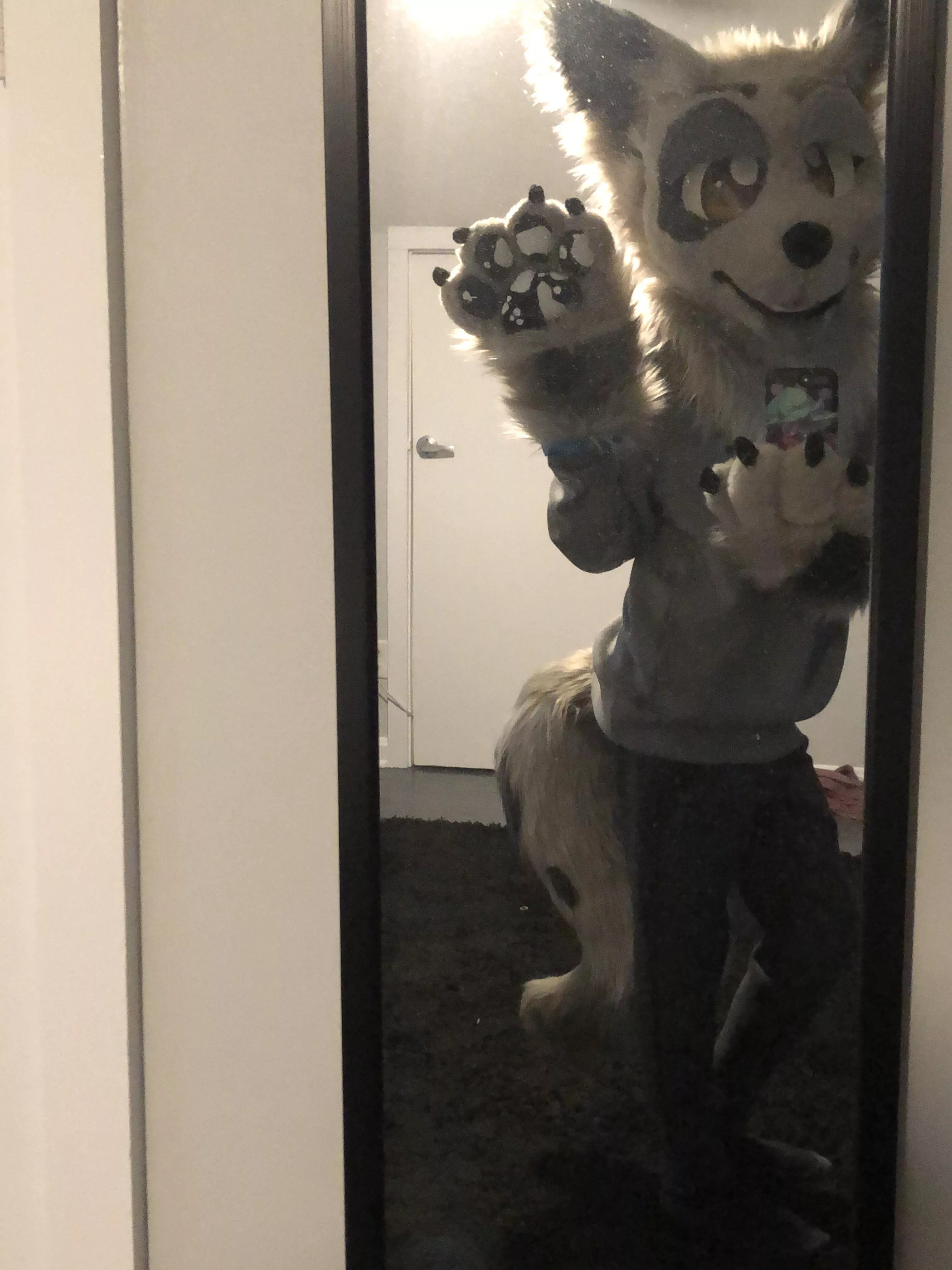 ðŸ¦ŠðŸ–¤ðŸ¤ Happy fursuit Friday! Hope you all have a good weekend! ðŸ¤ðŸ–¤ðŸ¦Š