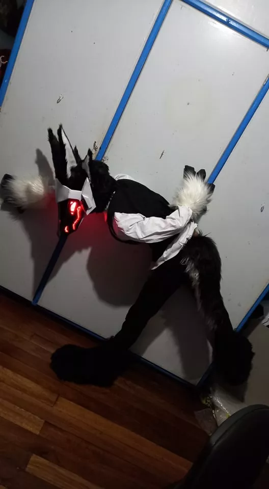 Happy fursuit friday! I dont even know what to call this pose lmao.