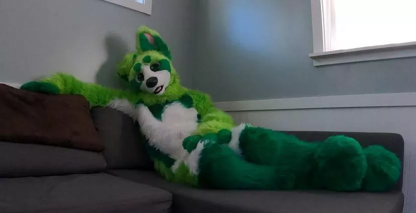 Happy fursuit Friday! Who wants cuddles?