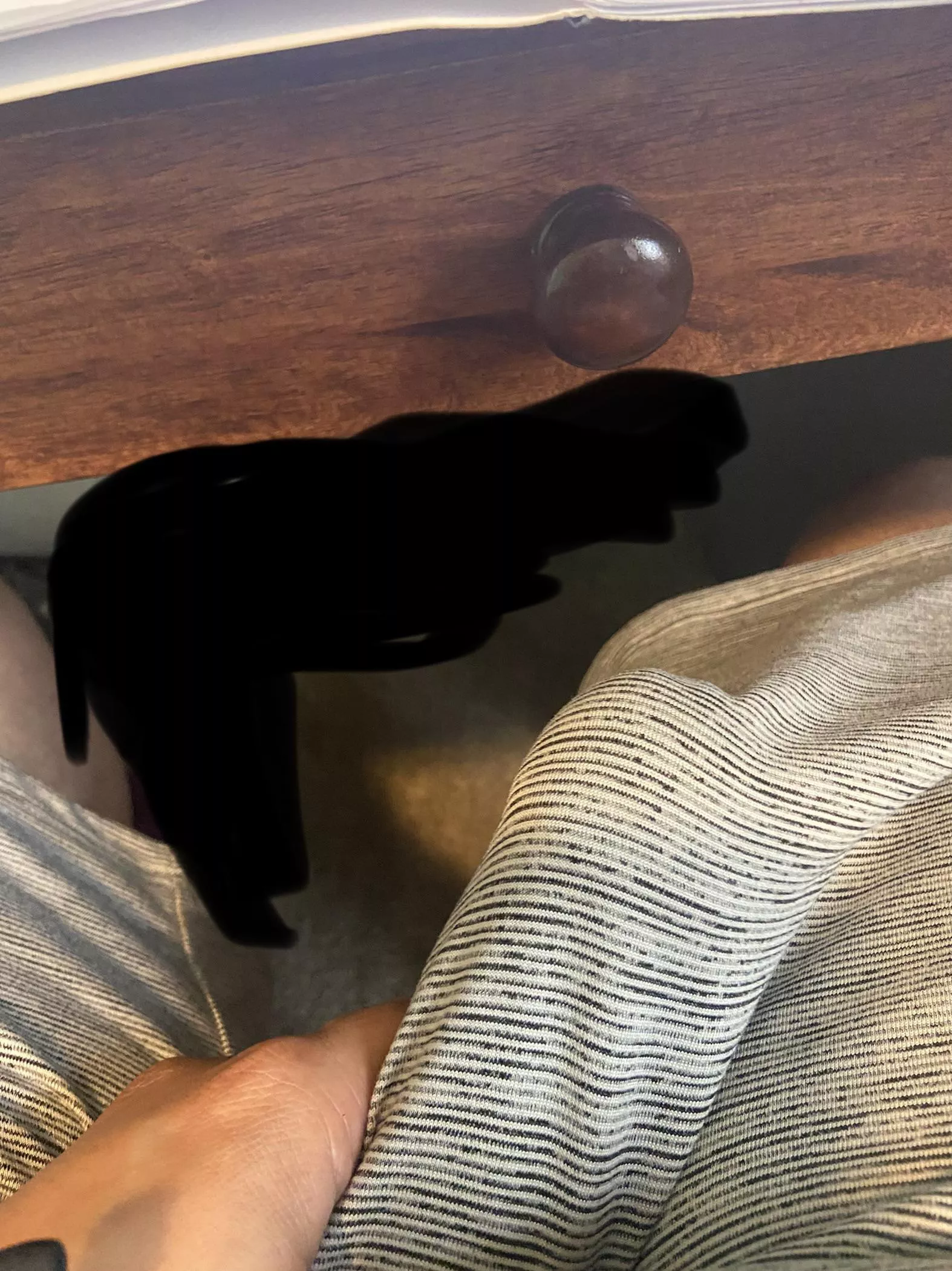 Hard at work. 31[M] dms open