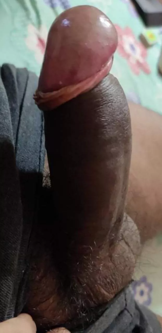 Hard Dick.....