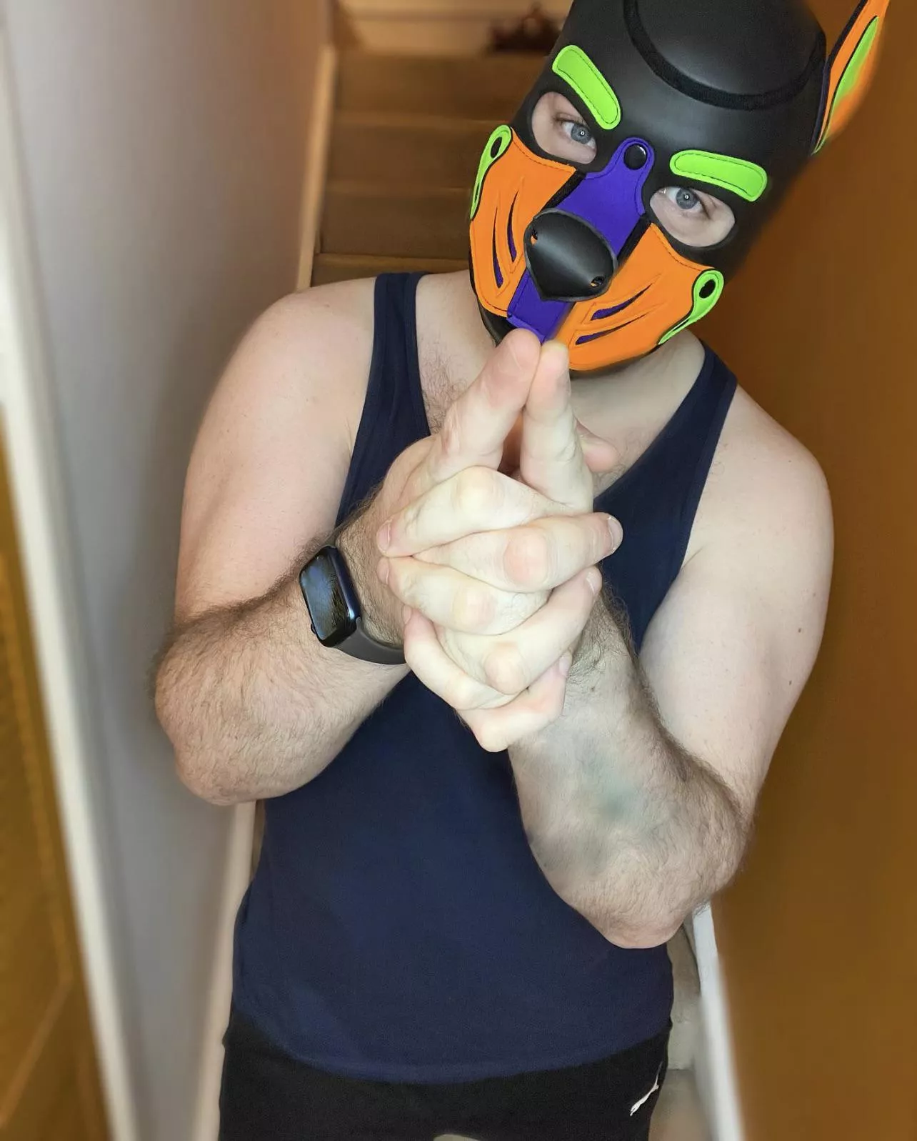 Have a great day all you beautiful pups 💜💚🧡