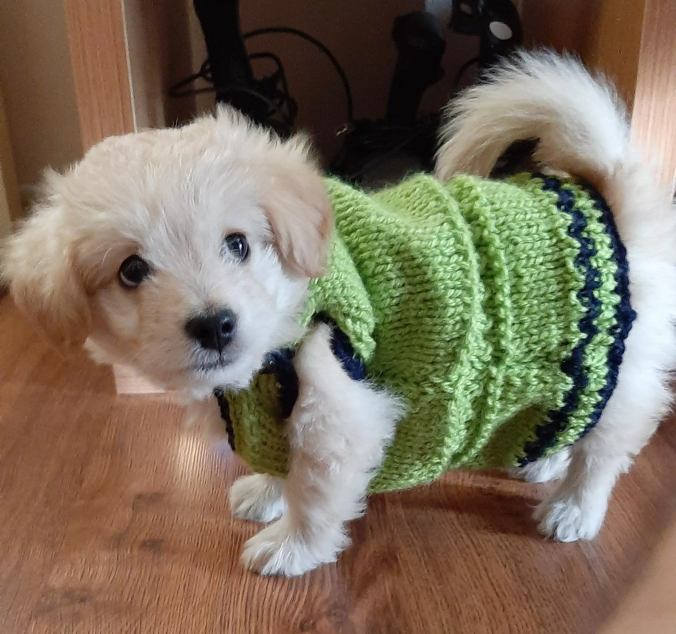 He can't quite fill the sweater our grandma knitted, but he's confident he will be able to.