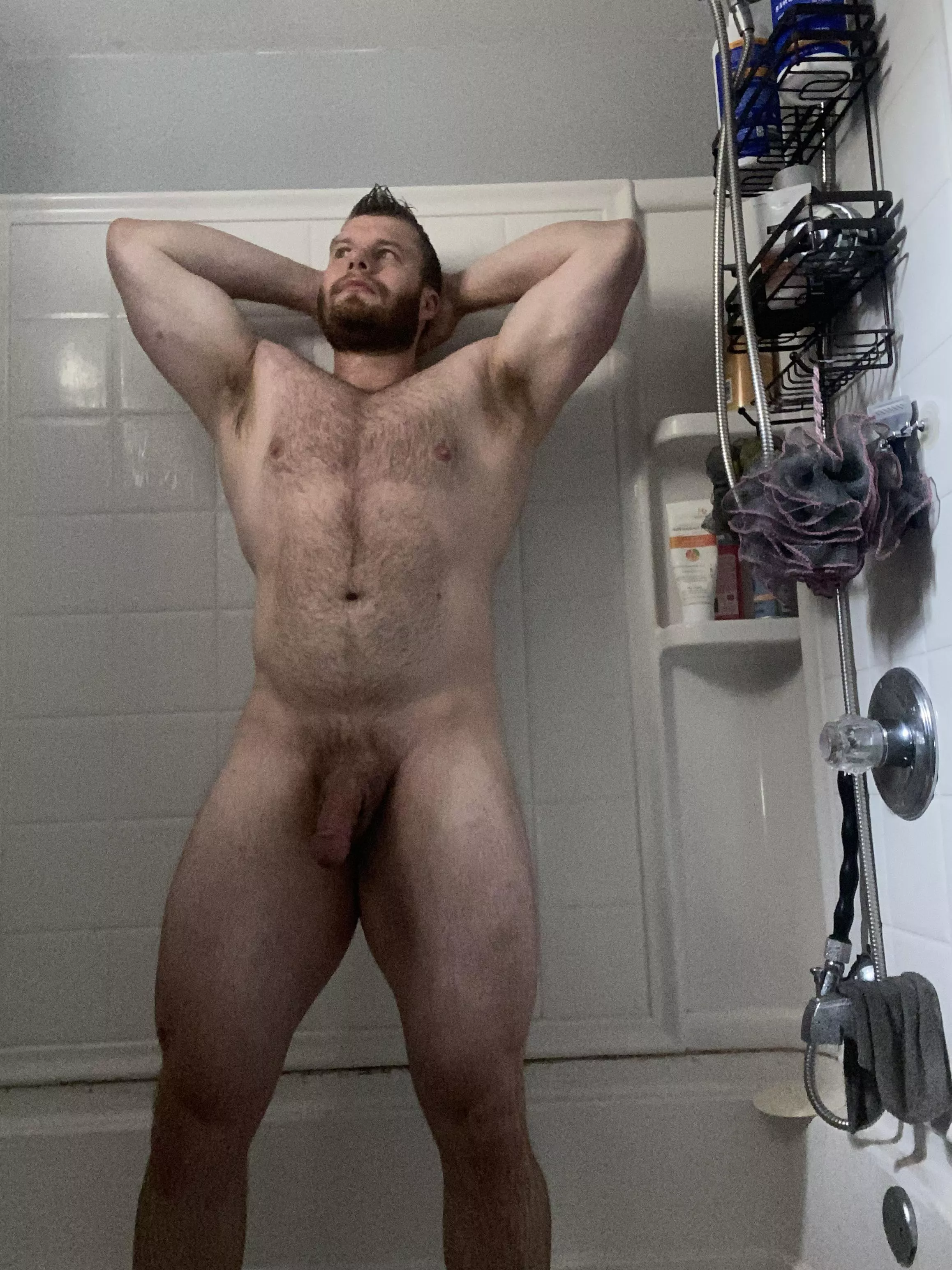 Hello bears! Muscle bear here!