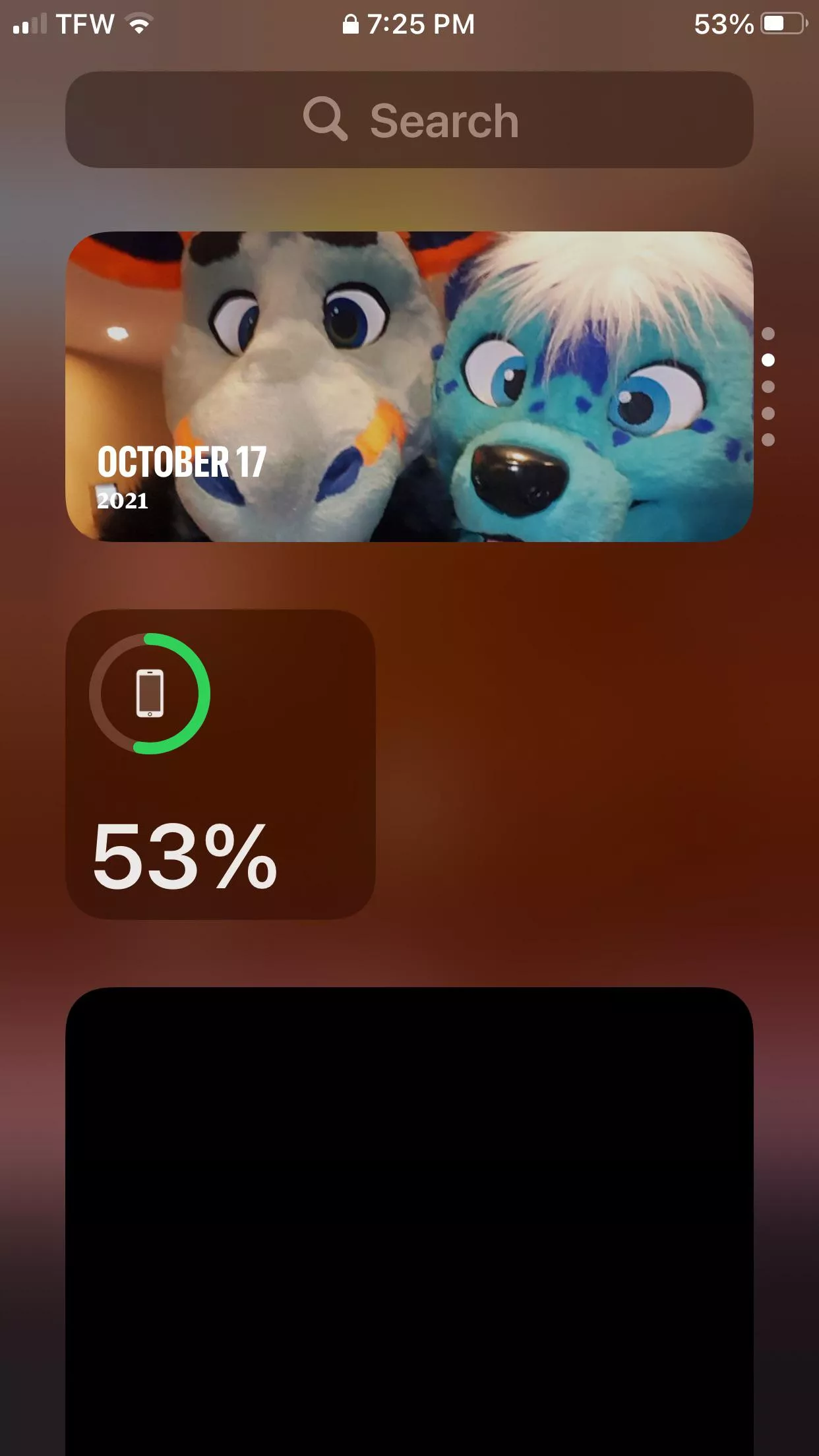 Help. I need to know how to get rid of this display on my iPhone because I’m a closeted furry and you know.