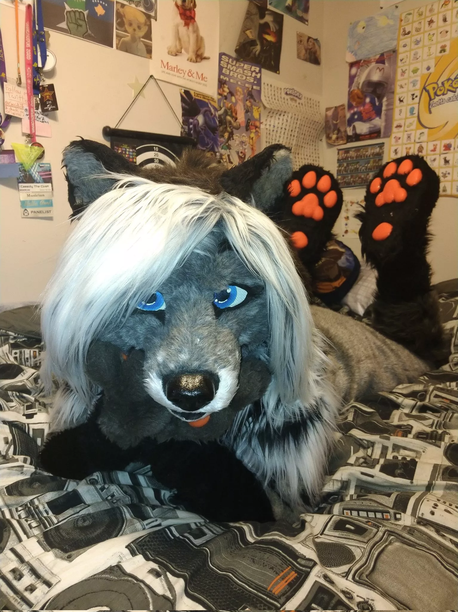 hey cutie, want cuddles~? (fursuit is mine @CassidyTheCivet everywhere!)