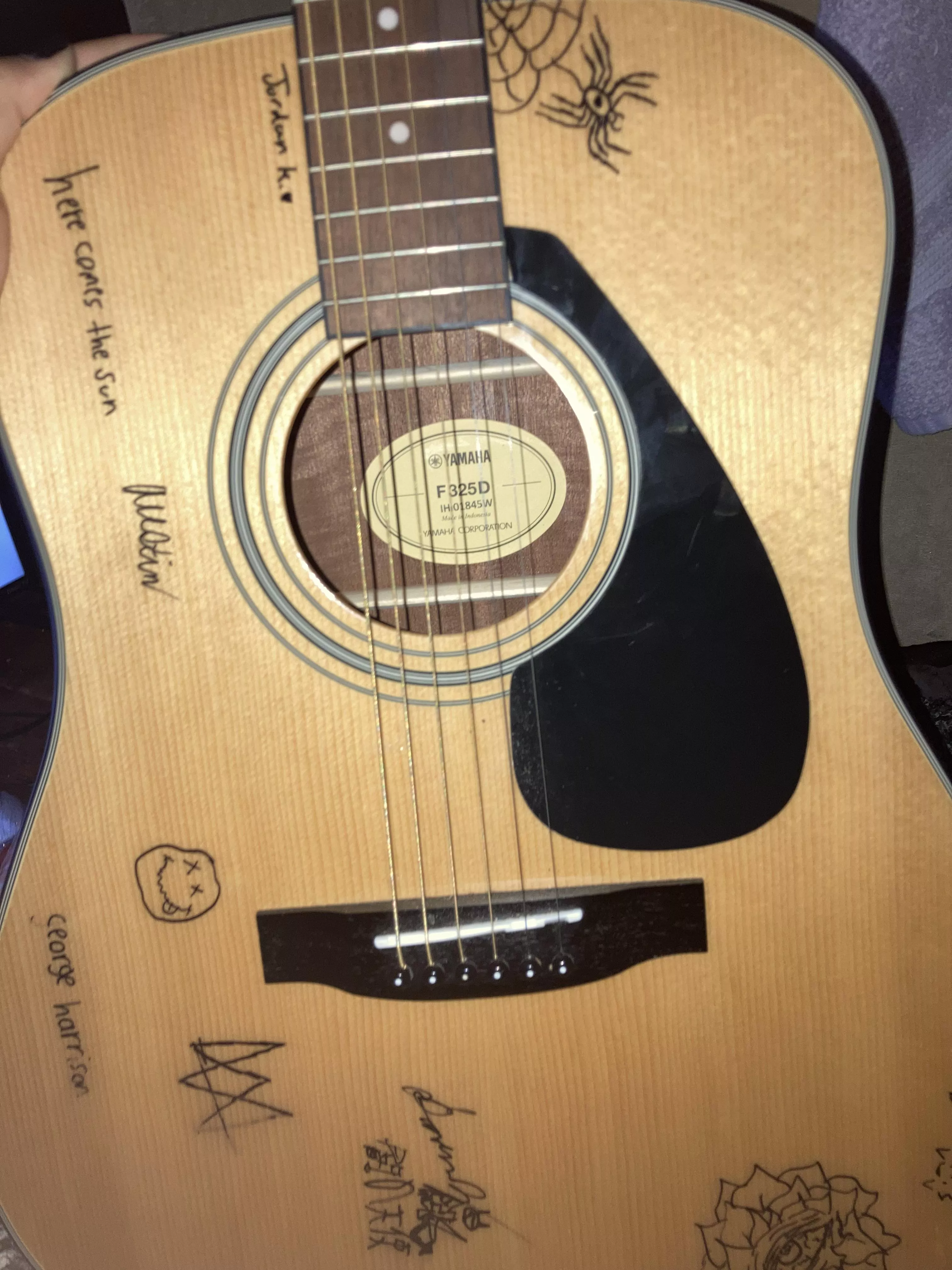 Hey furry friends what should I draw on my guitar?