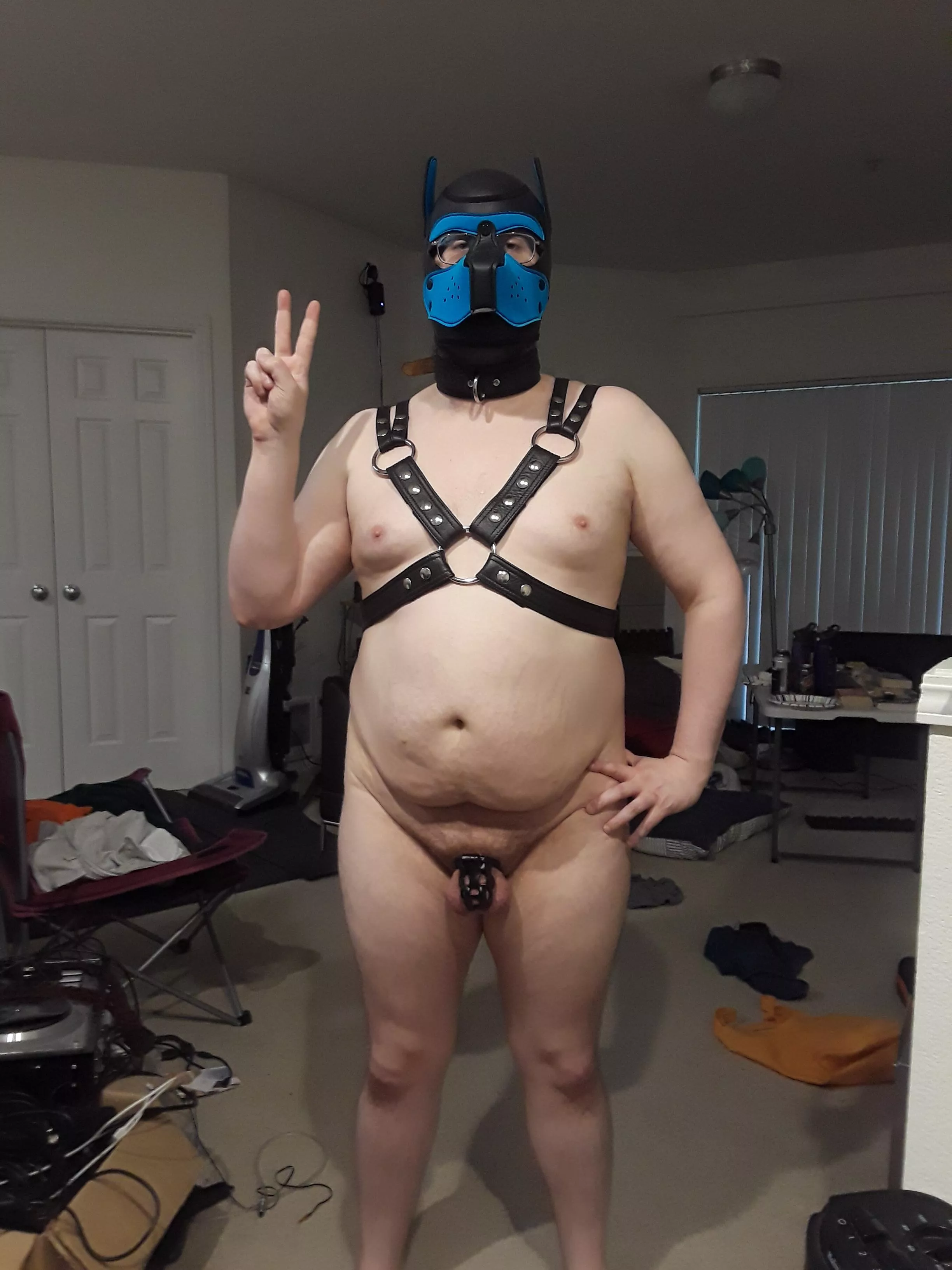 Hey there all! New pup here, locked and ready to go!