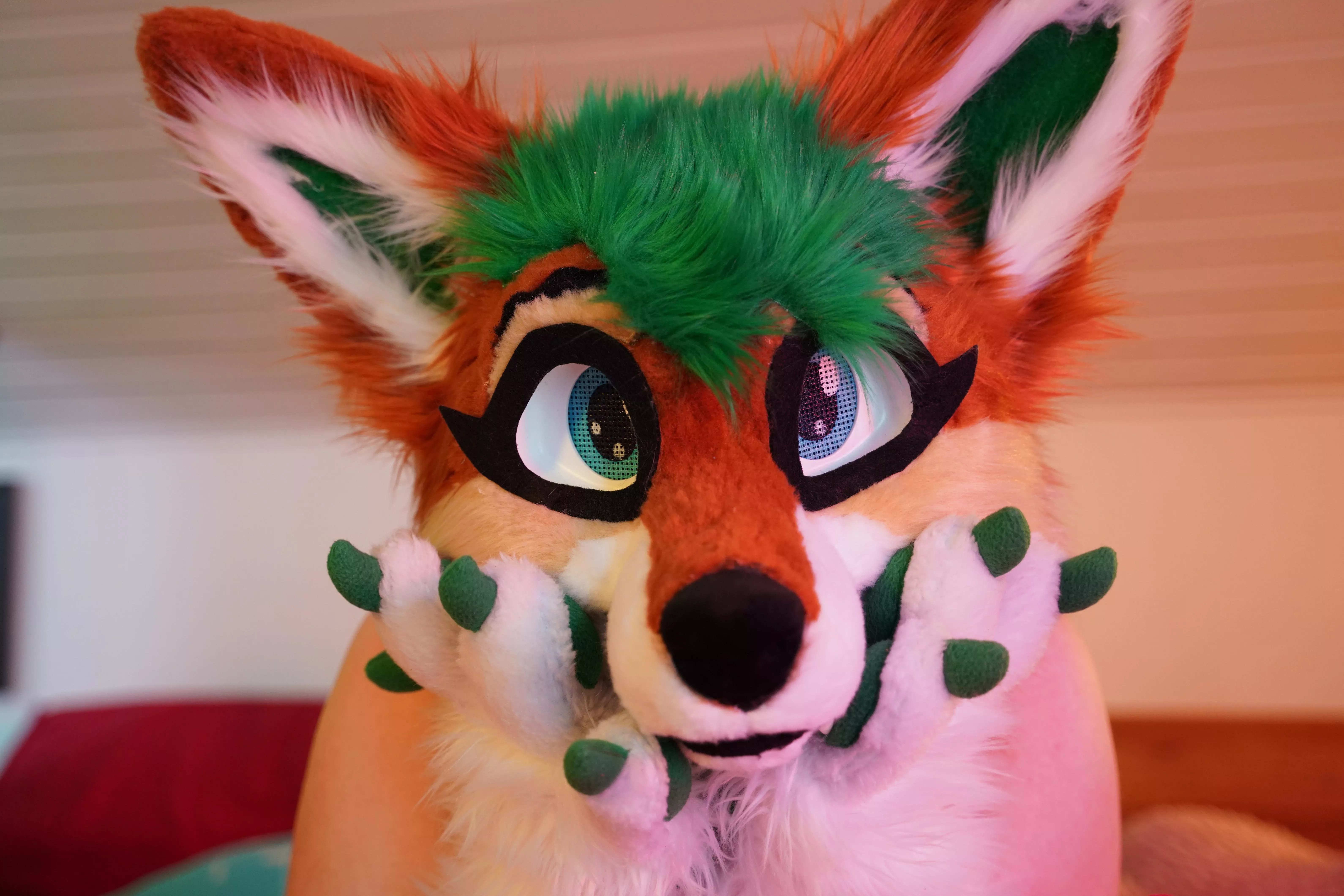 Hi, i'm absolutely new here on reddit and want to make some friends. My name is furry_foxxy and i'm a live streamer on multiple websites like OF.