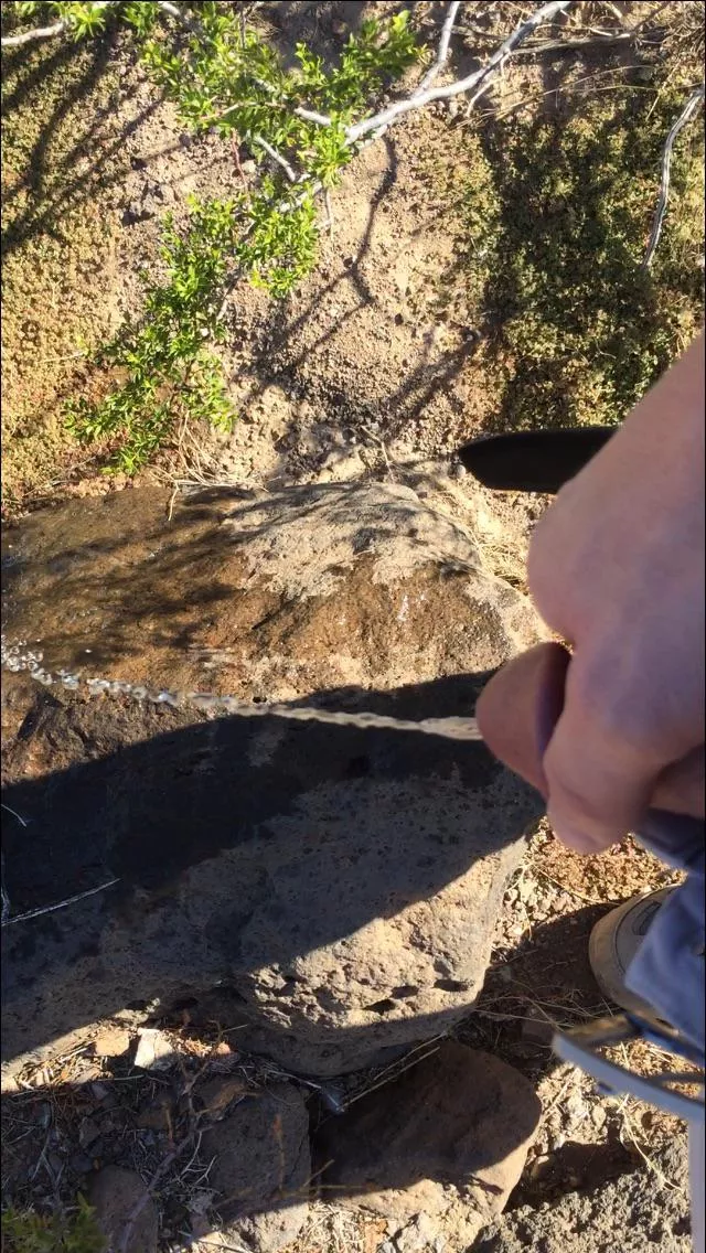 Hike pissing