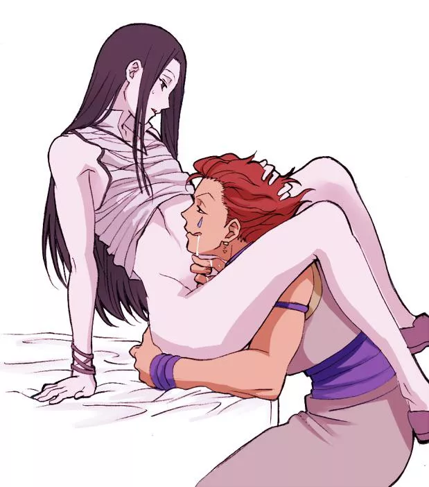 hisoka and illumi [hxh]