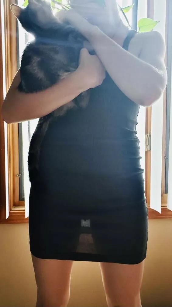 Holding my pussy up high 😺