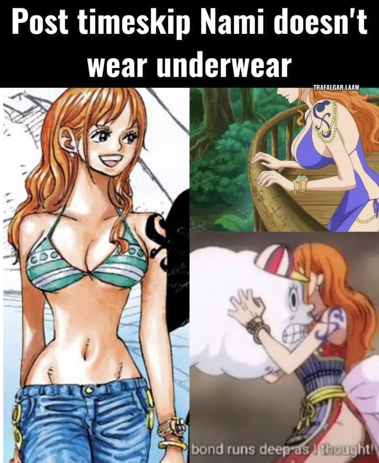 Holy shit this puts nami in a whole different light I knew she was slutty but damn