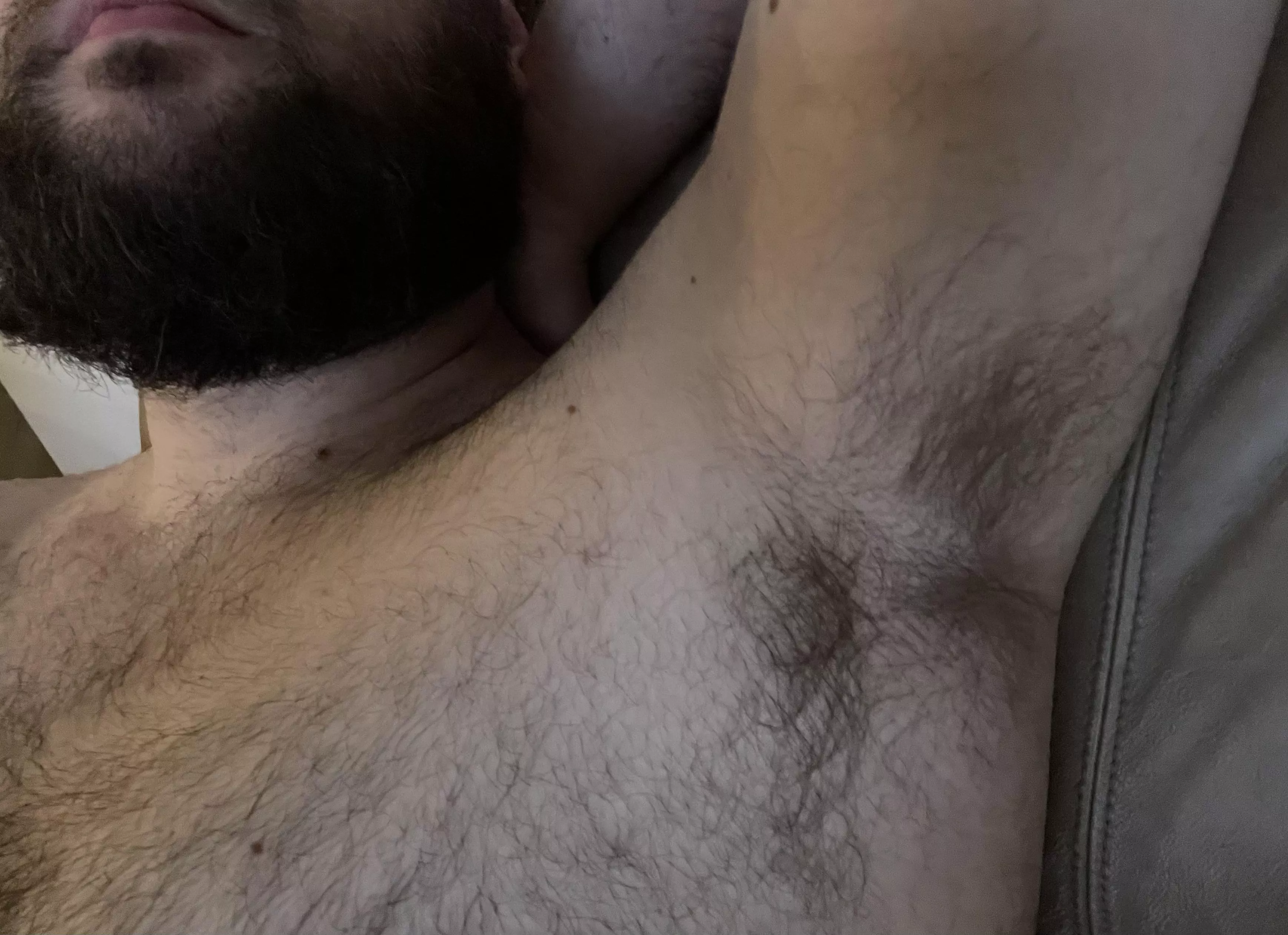 Hope you like them hairy and beary