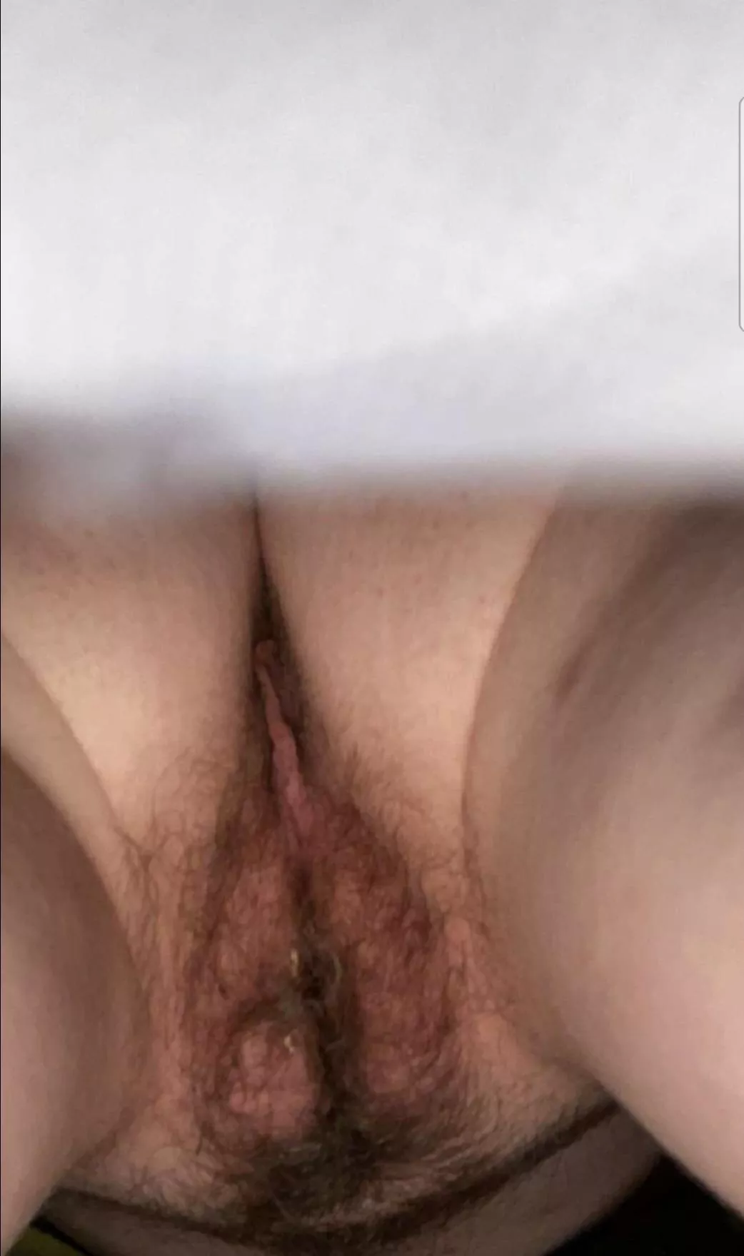 Horny Pussy♥️🥵💦 [w]