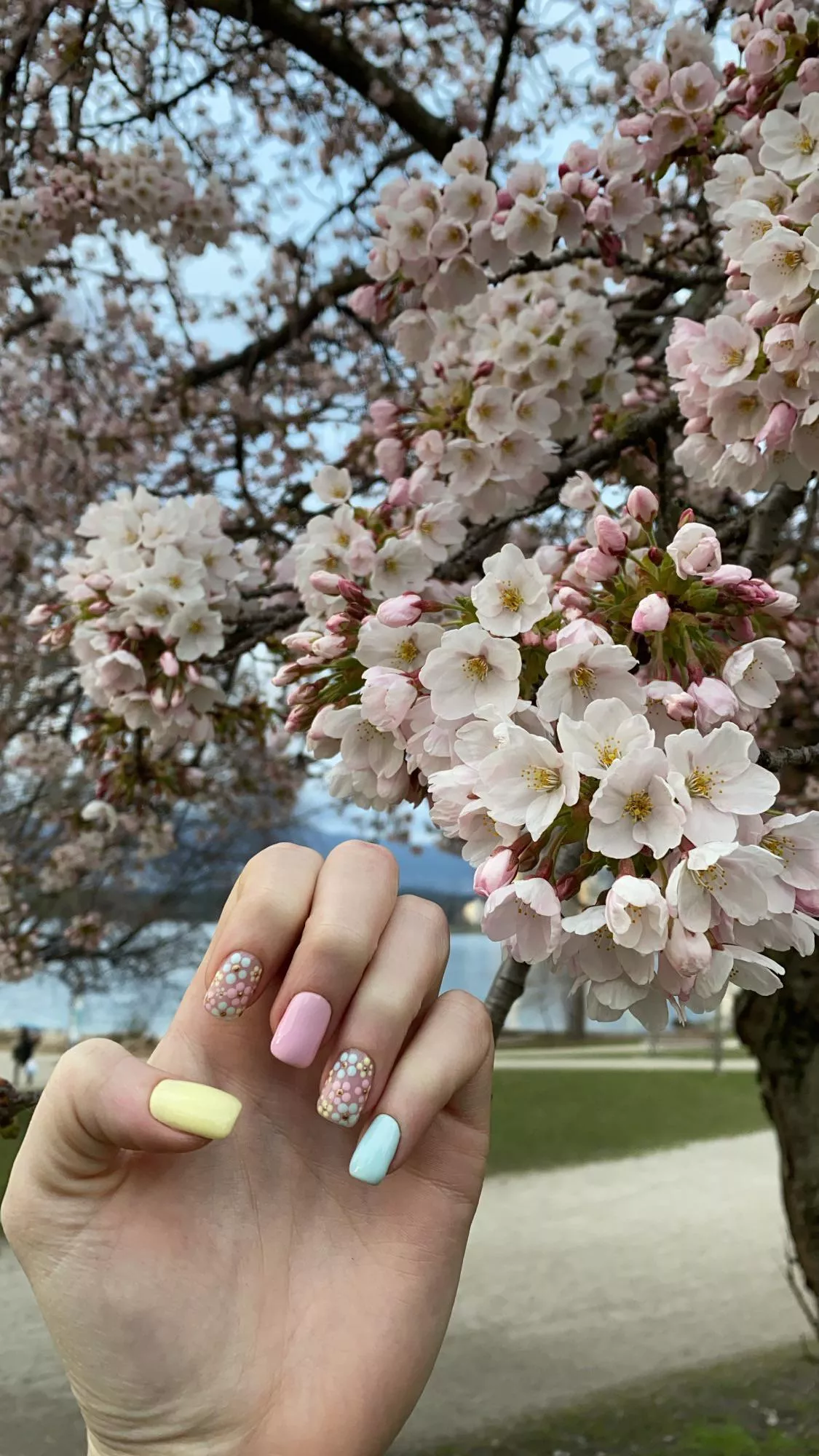 How cute were my Spring nails? ðŸ¥°ðŸŒ¸