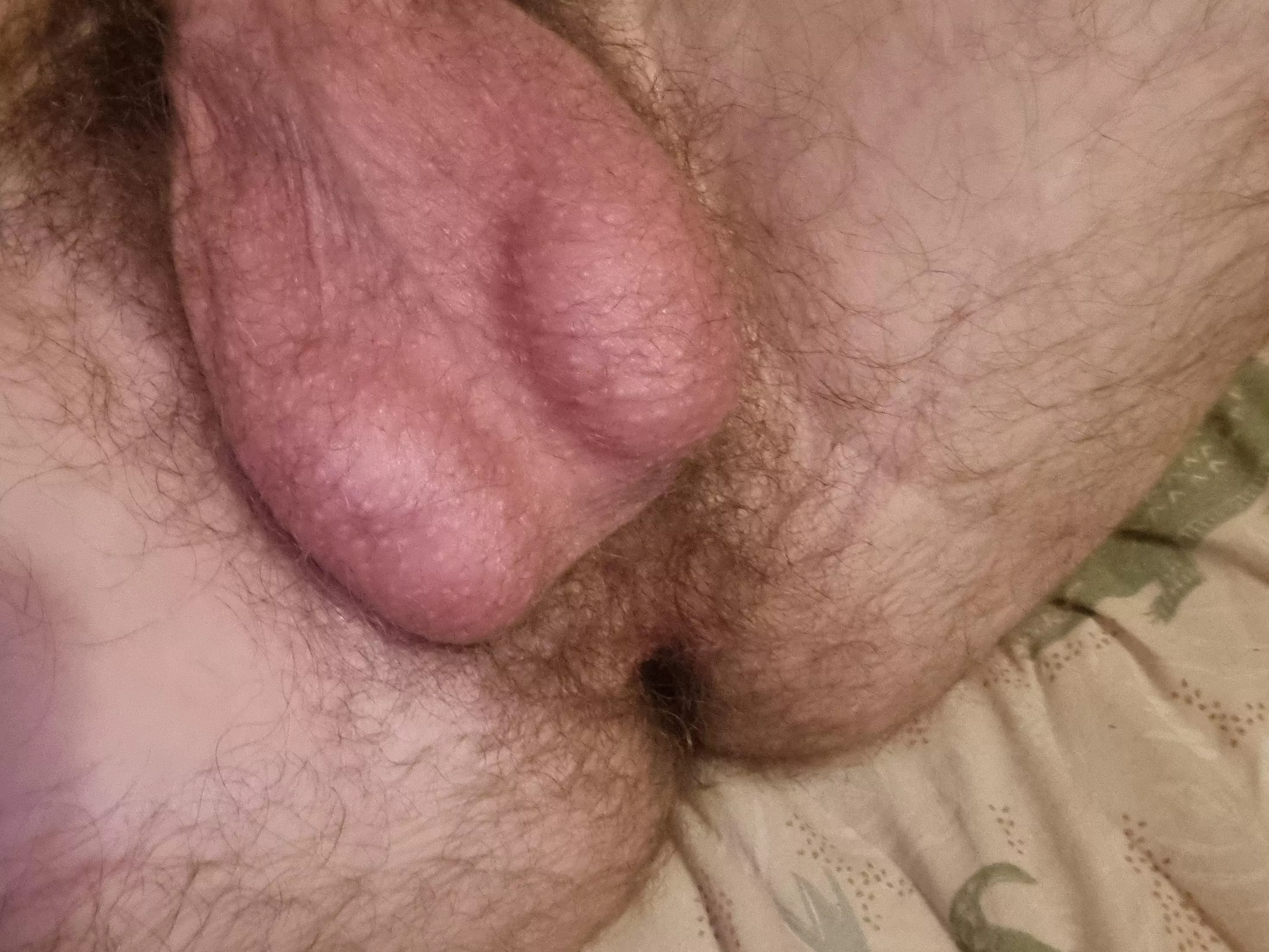 How do y'all like this angle with my hairy balls?