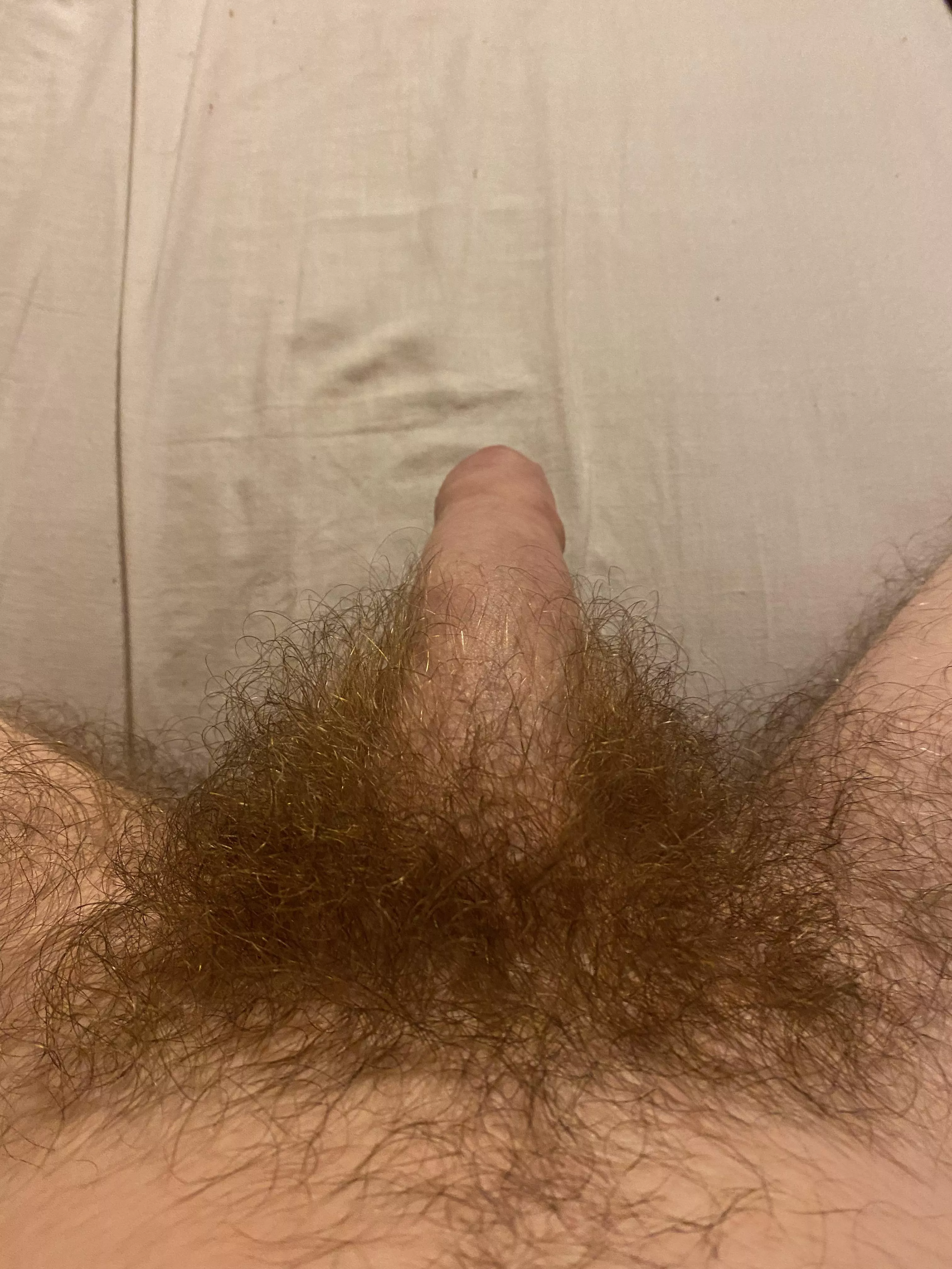 How do you like my soft dick?