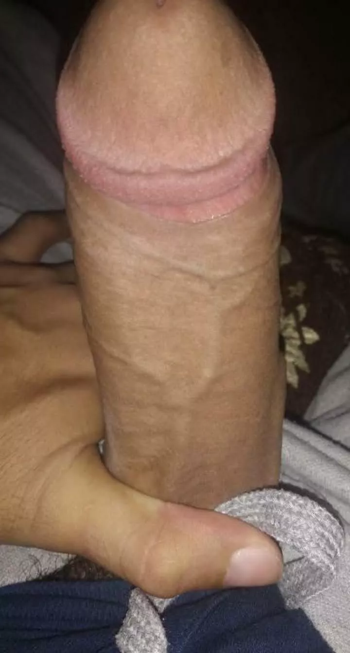 How is my dick? Anyone from Hyderabad want it?